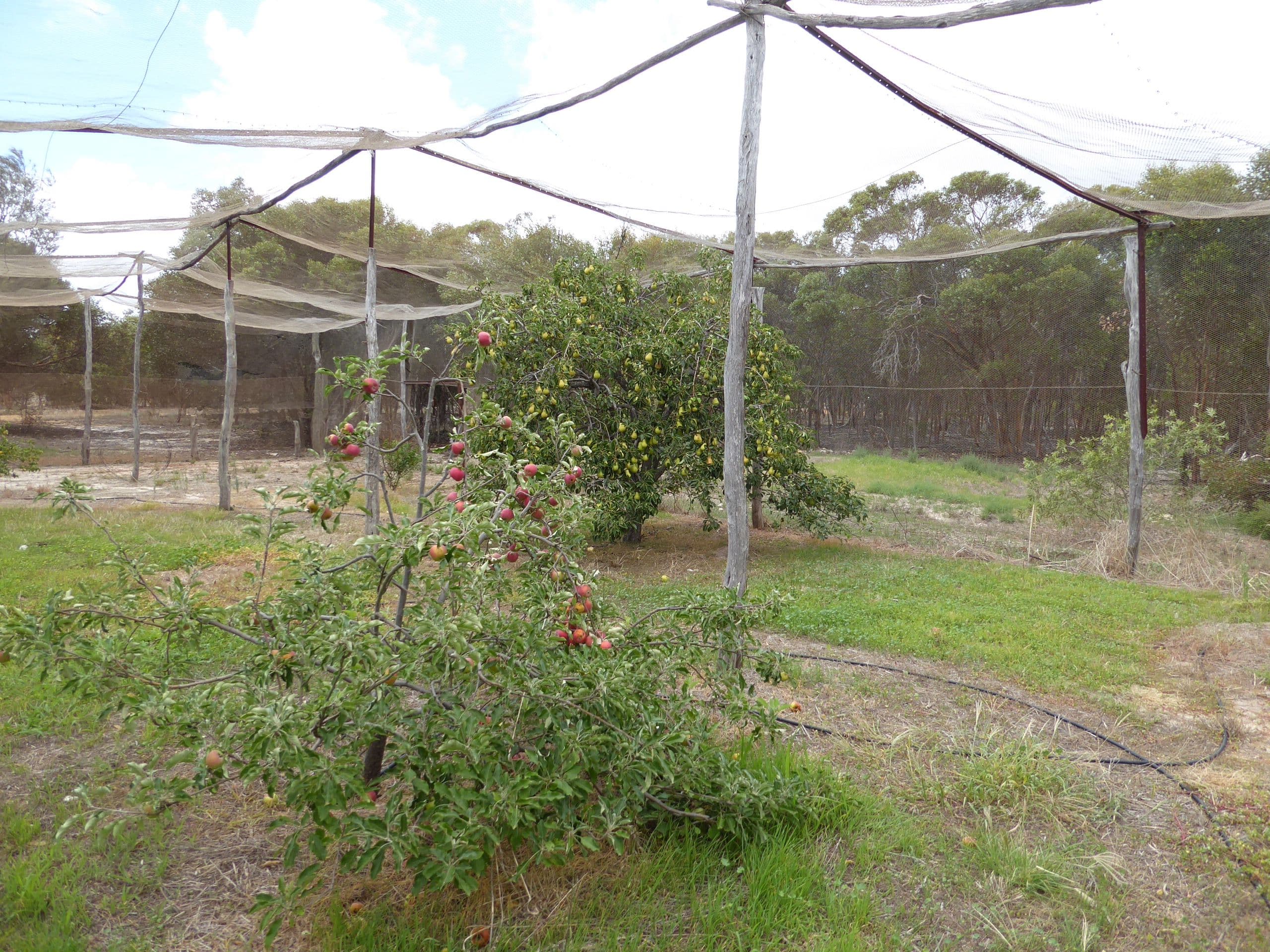 L5 Aerodrome Road, Ravensthorpe WA 6346, Ravensthorpe - Thumbnail 4