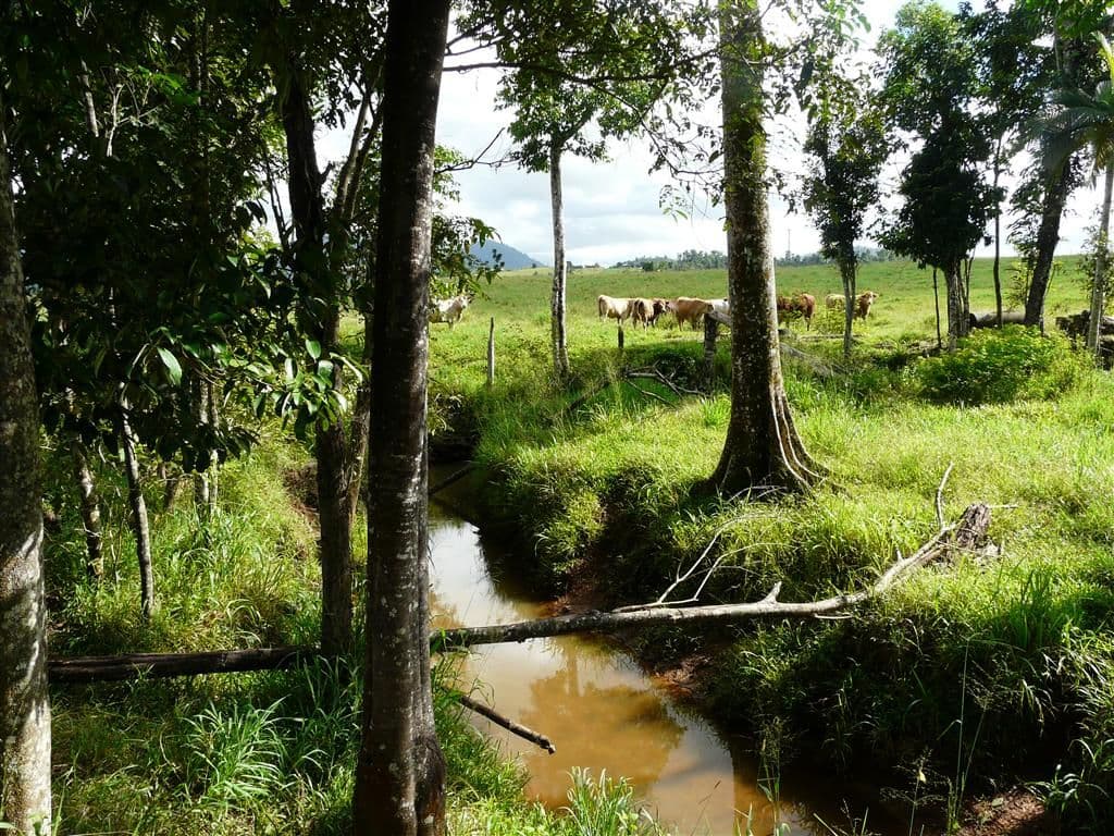 Lot 22 Mena Creek Road, Mena Creek QLD 4871, Mena Creek - Thumbnail 2