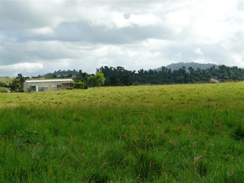 Lot 22 Mena Creek Road, Mena Creek QLD 4871, Mena Creek - Thumbnail 6
