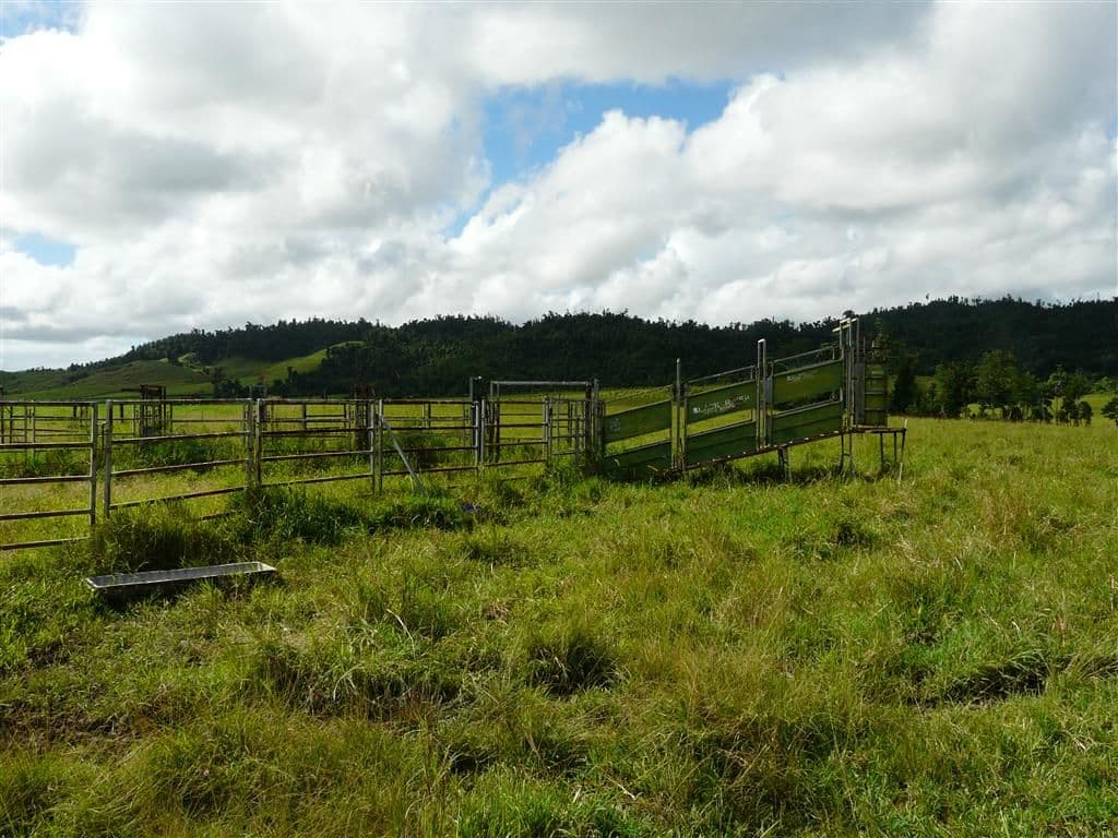 Lot 22 Mena Creek Road, Mena Creek QLD 4871, Mena Creek - Thumbnail 8