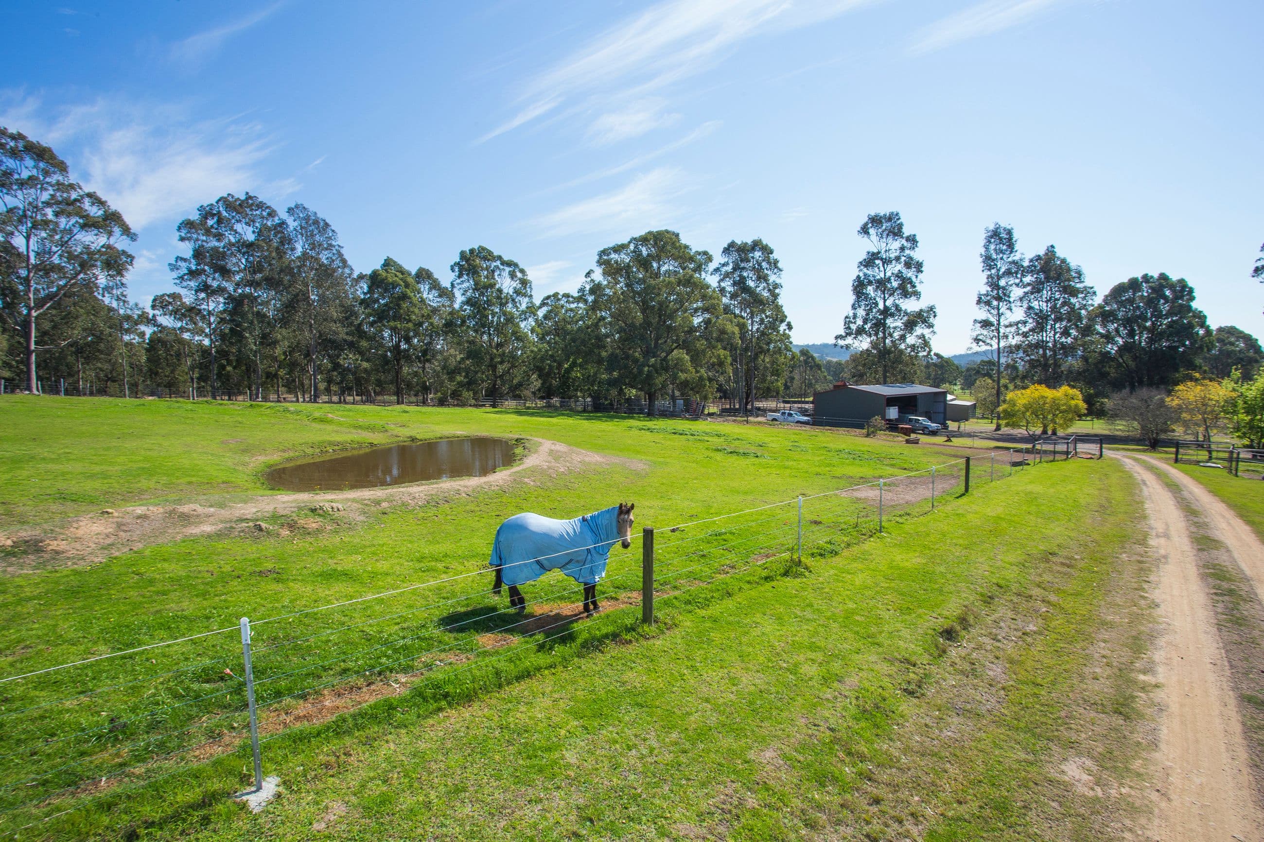604 Wallarobba-Brookfield Road, Dungog NSW 2420, Dungog - Thumbnail 3