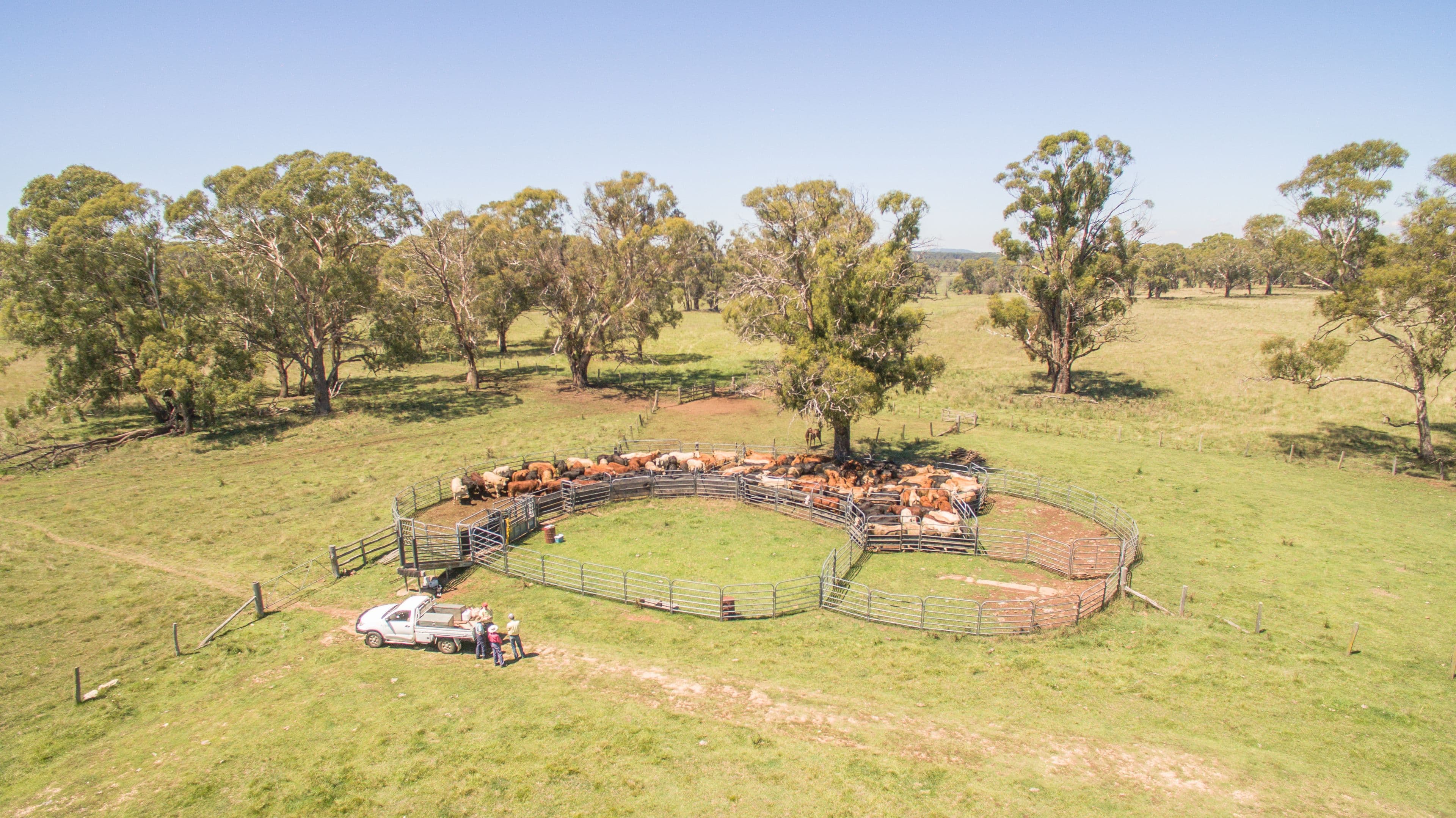 Elderbury 250 Northbrook Road, Guyra NSW 2365, Guyra - Thumbnail 2