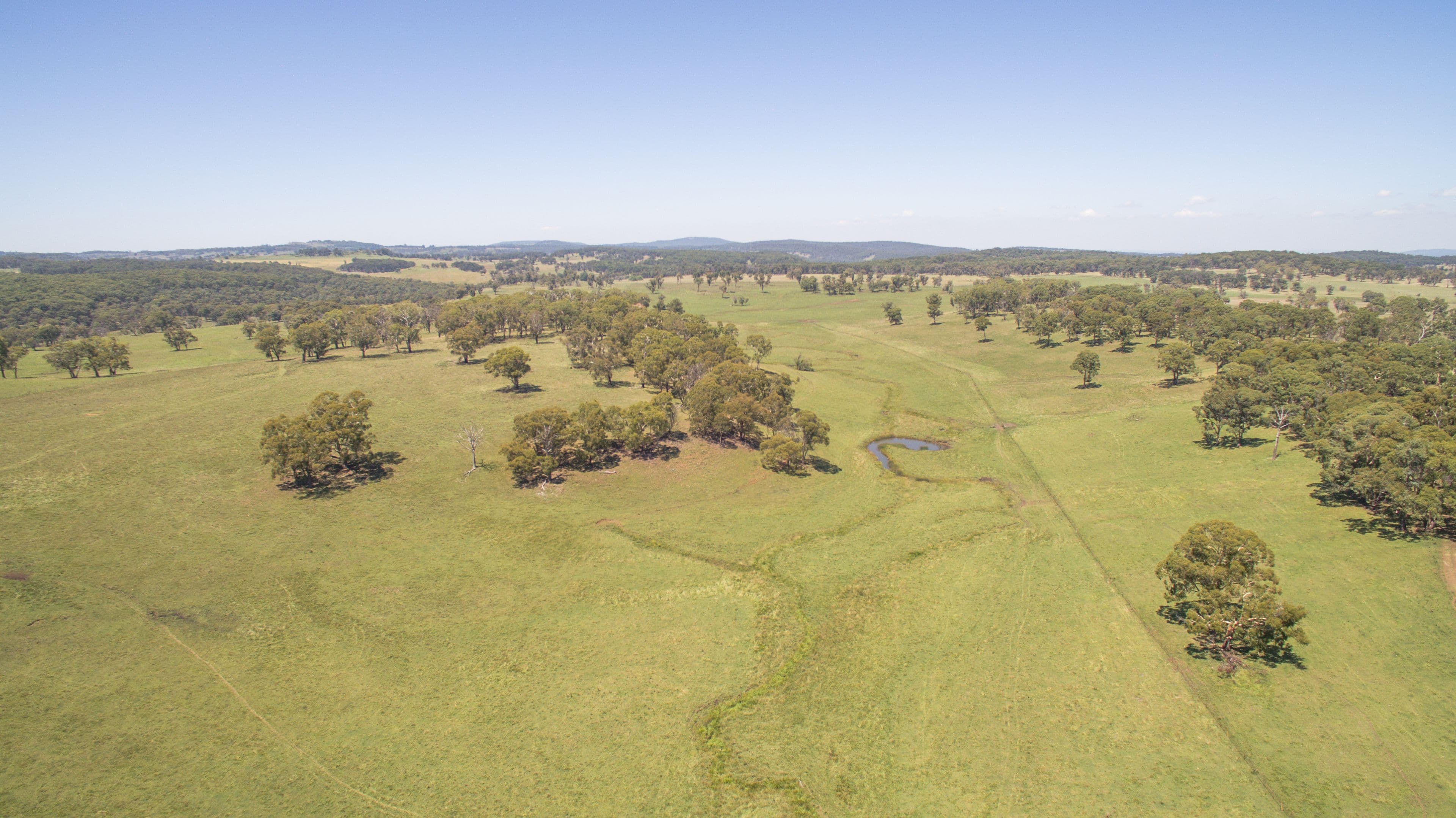 Elderbury 250 Northbrook Road, Guyra NSW 2365, Guyra - Image 1