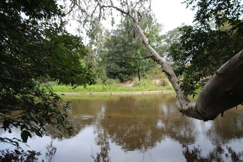 648 Hodzic Road, Mareeba QLD 4880, Mareeba - Image 1