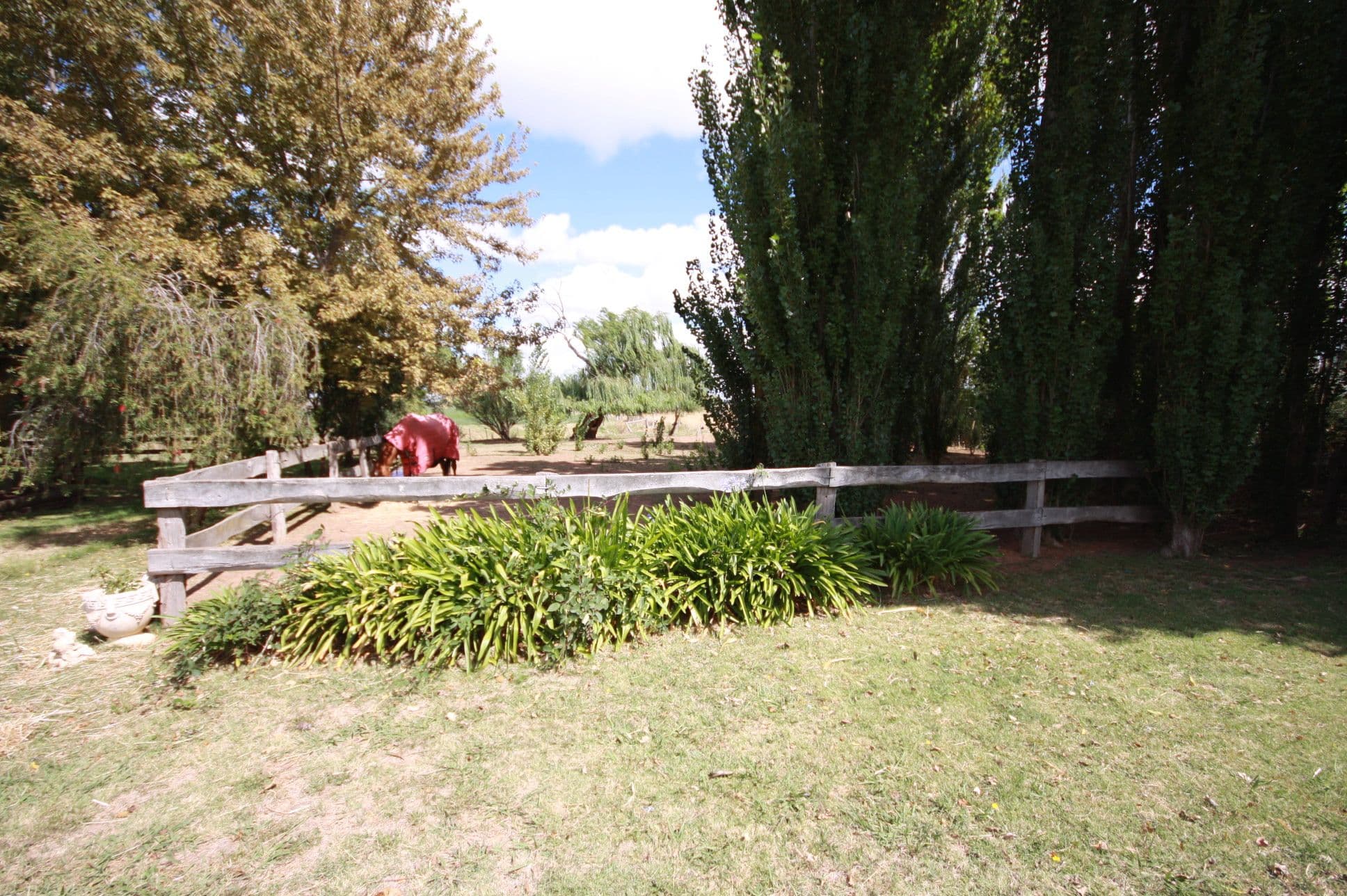 546 Zegelin Road, Nanneella VIC 3561, Nanneella - Thumbnail 2