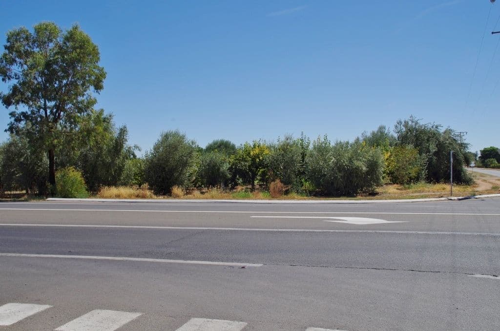 20087 Renmark Avenue, Renmark SA 5341, Renmark - Thumbnail 3