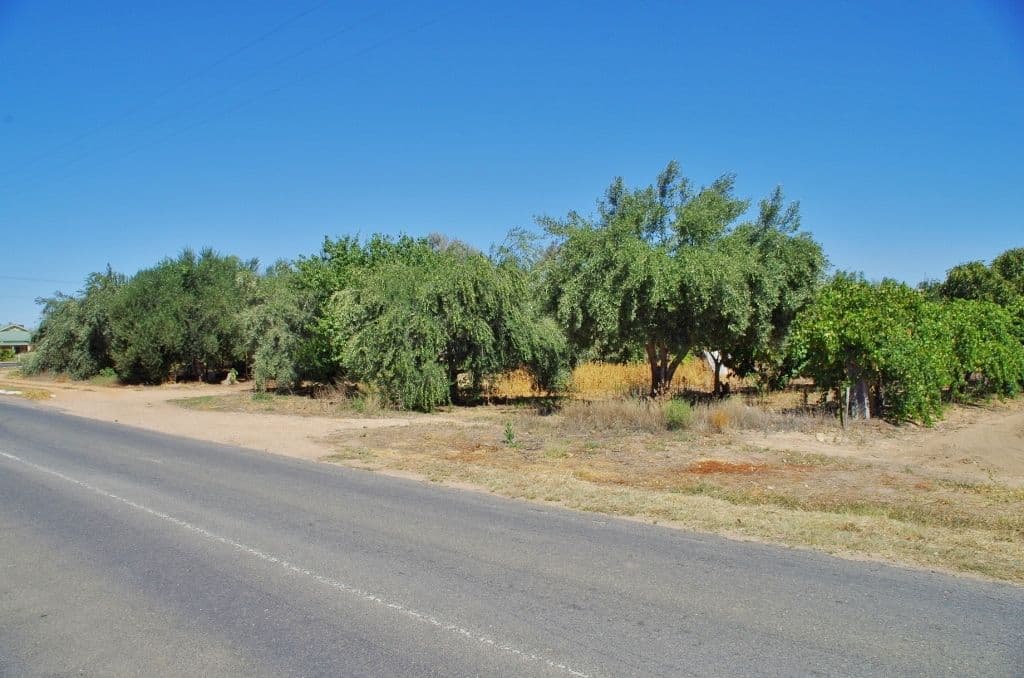 20087 Renmark Avenue, Renmark SA 5341, Renmark - Thumbnail 2