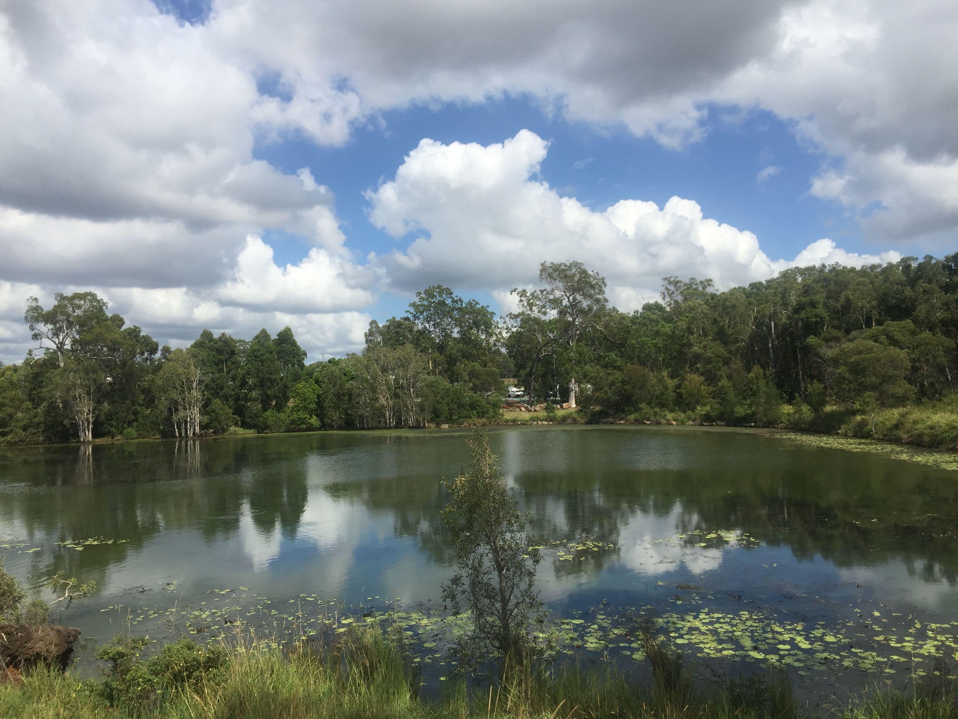 10 Blackall Road, Murrumba Downs QLD 4503, Murrumba Downs - Thumbnail 3