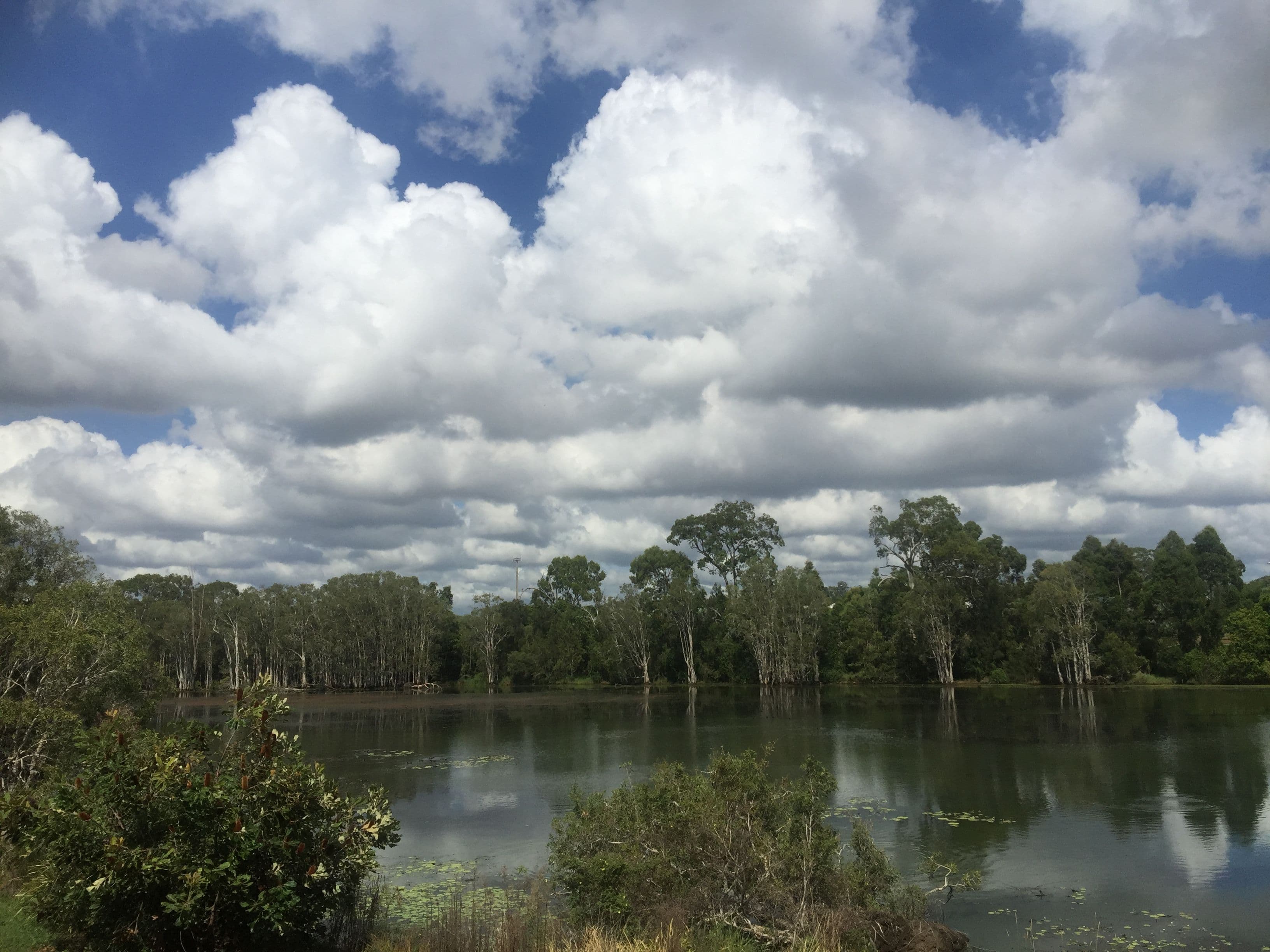 10 Blackall Road, Murrumba Downs QLD 4503, Murrumba Downs - Thumbnail 4