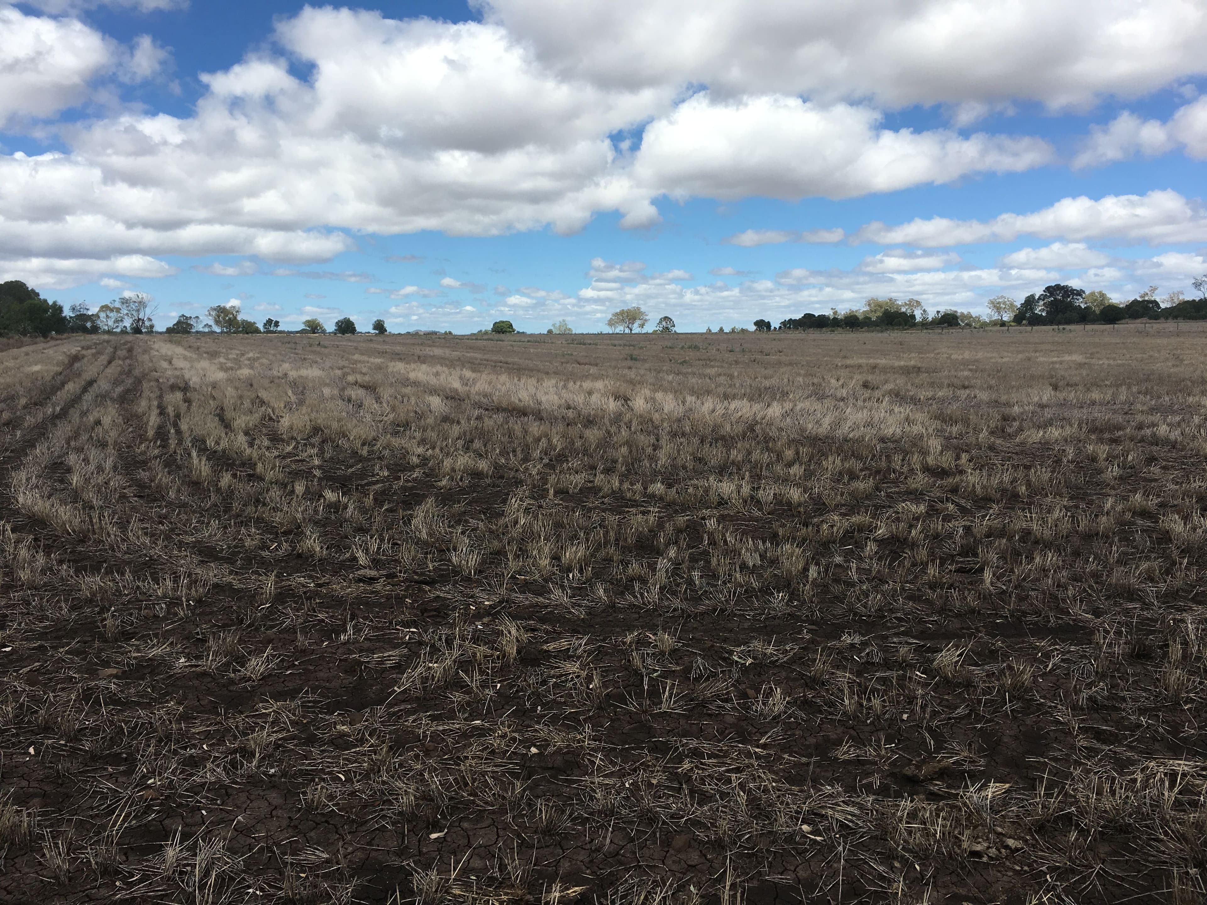 768 Oakey-Pittsworth Road, Aubigny QLD 4401, Aubigny - Thumbnail 5