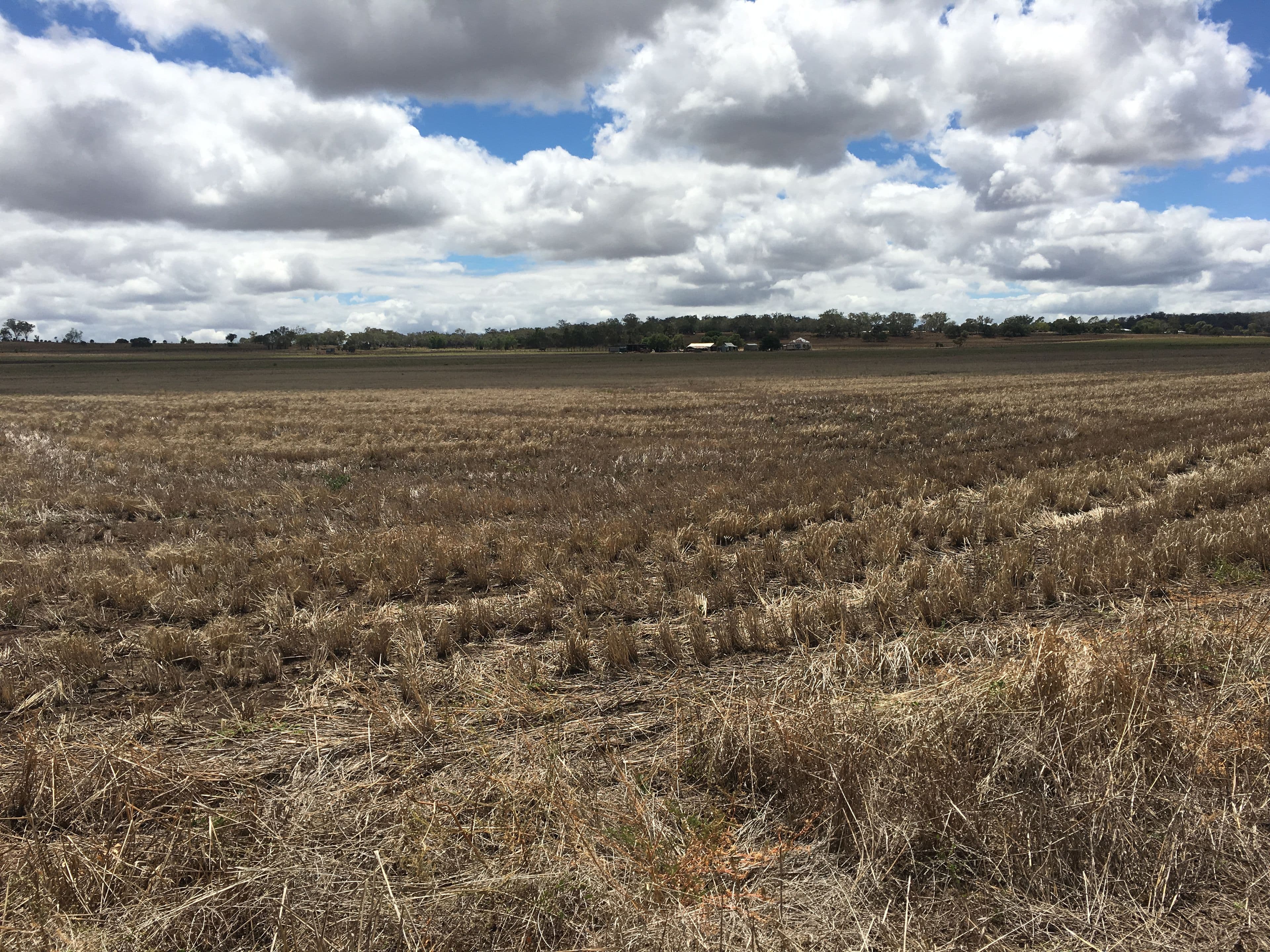 768 Oakey-Pittsworth Road, Aubigny QLD 4401, Aubigny - Image 1