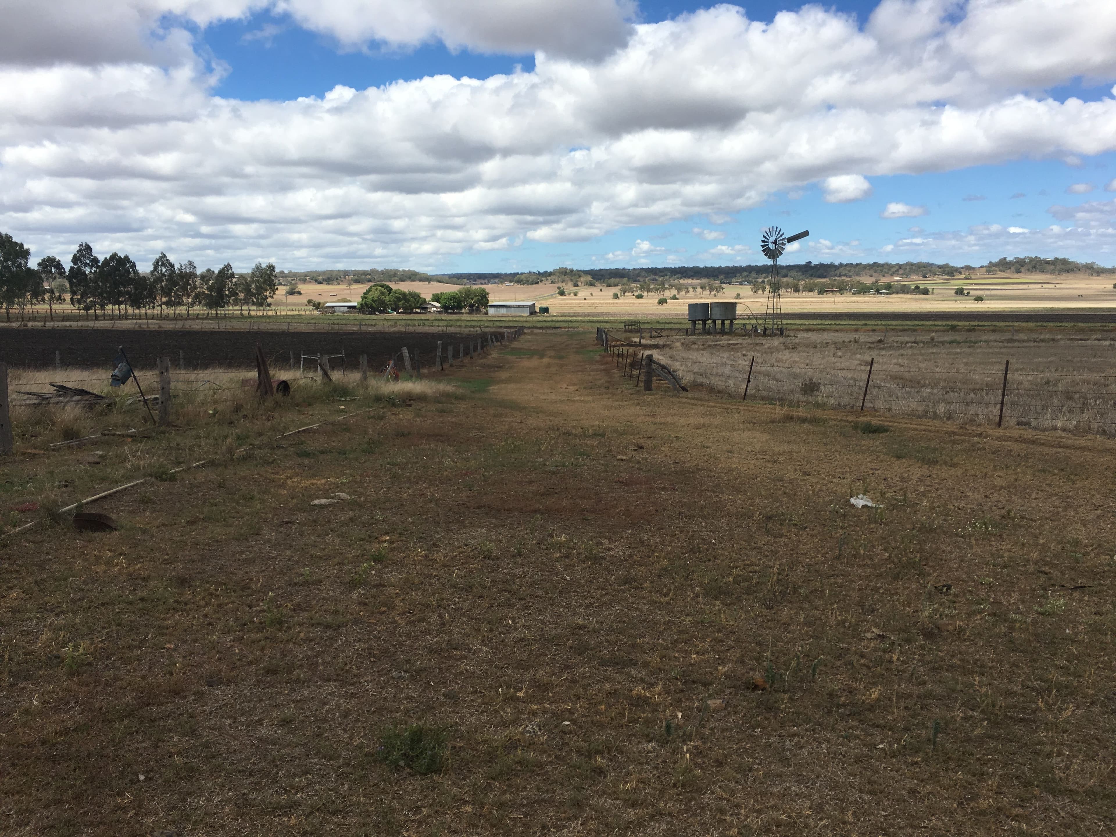 768 Oakey-Pittsworth Road, Aubigny QLD 4401, Aubigny - Thumbnail 3
