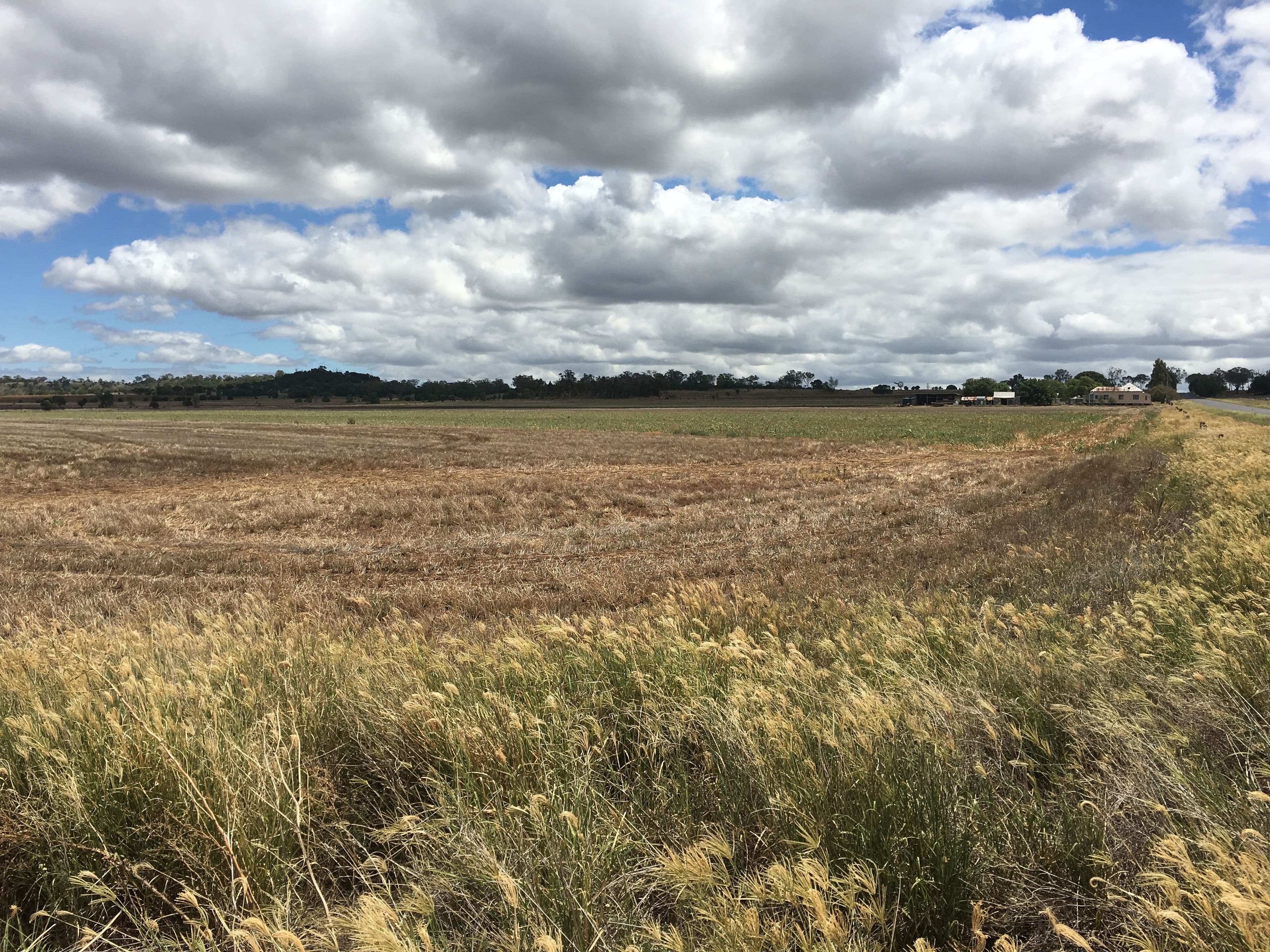 768 Oakey-Pittsworth Road, Aubigny QLD 4401, Aubigny - Thumbnail 2