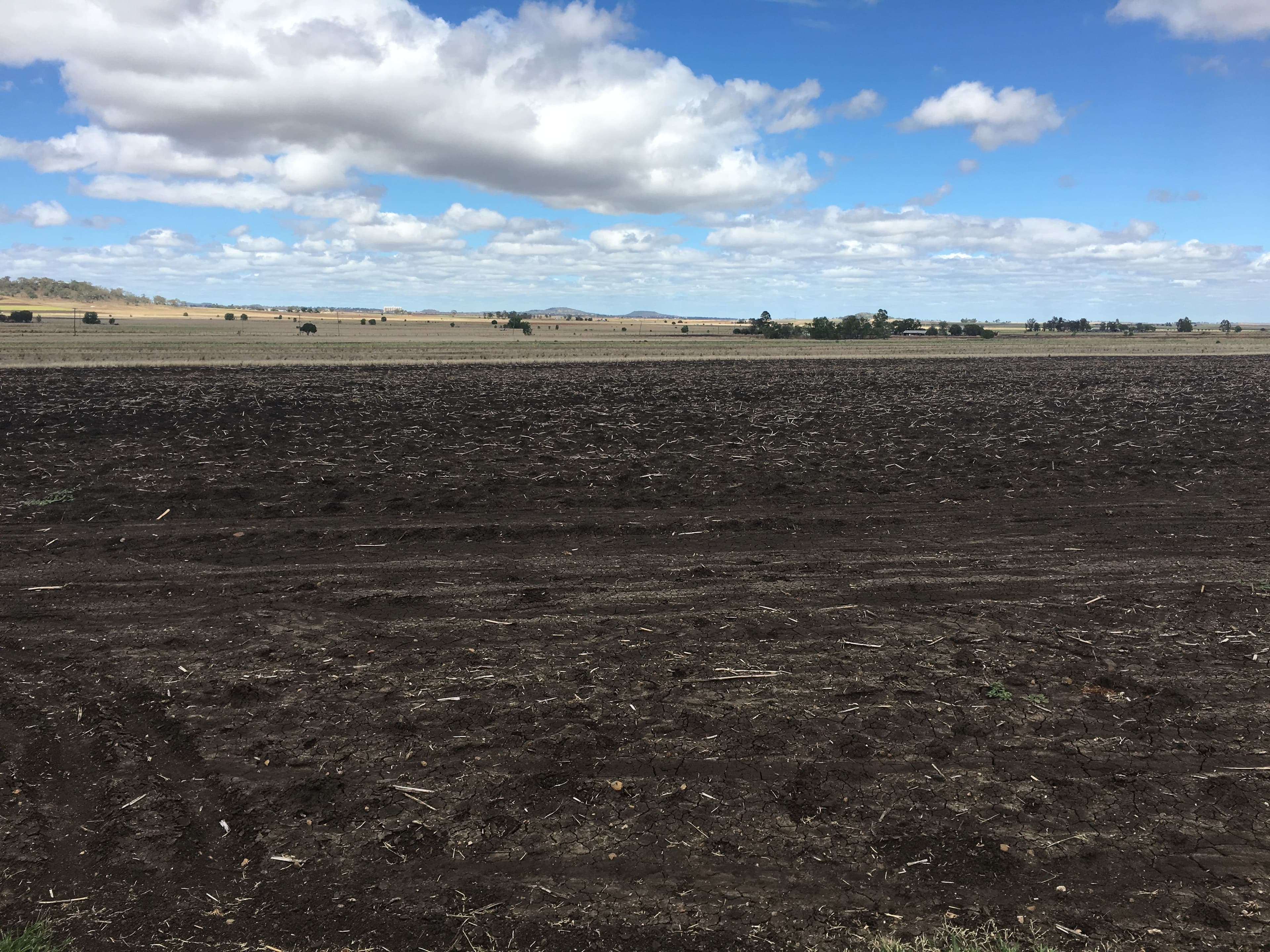 768 Oakey-Pittsworth Road, Aubigny QLD 4401, Aubigny - Thumbnail 4