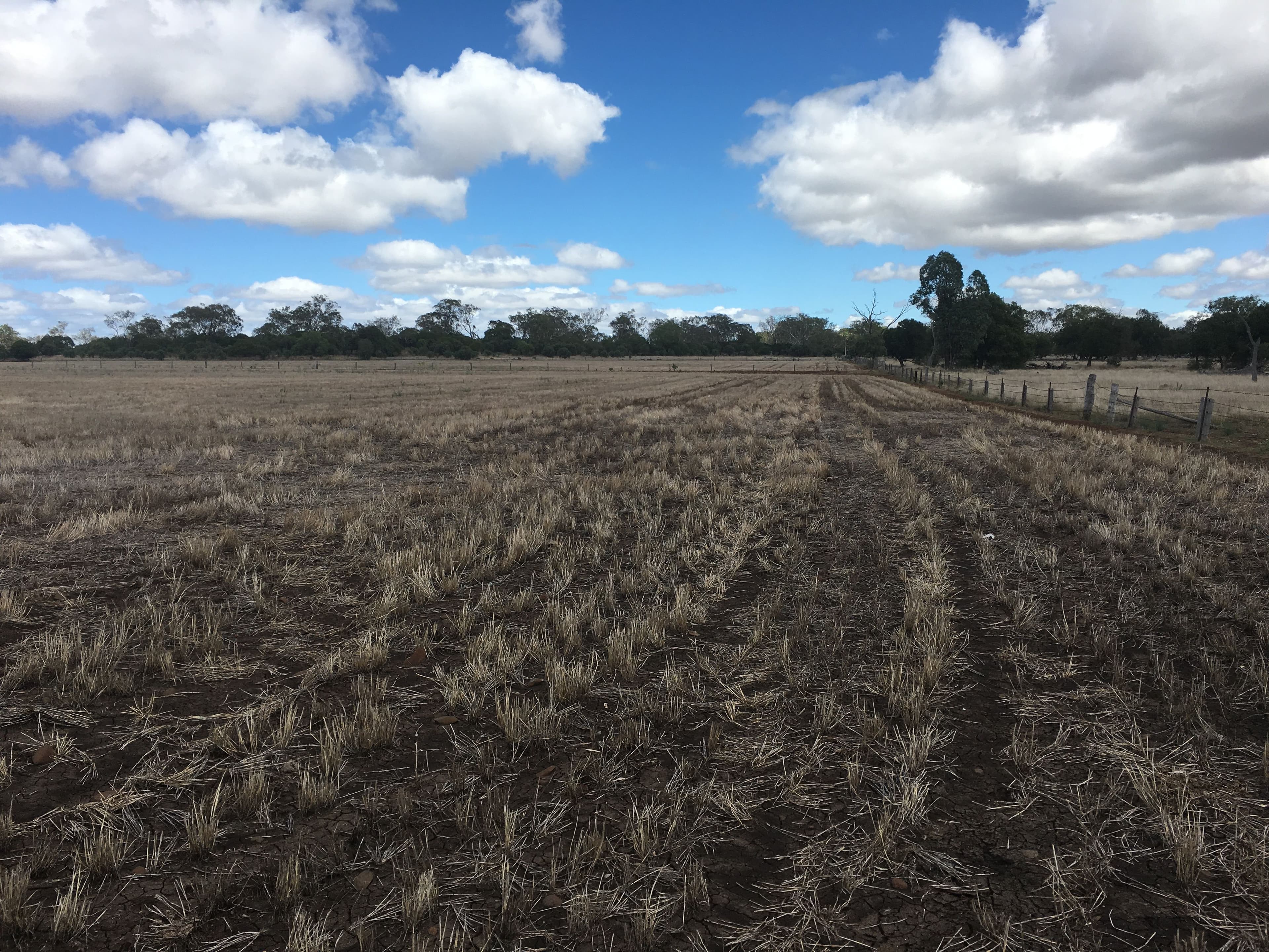 768 Oakey-Pittsworth Road, Aubigny QLD 4401, Aubigny - Thumbnail 6