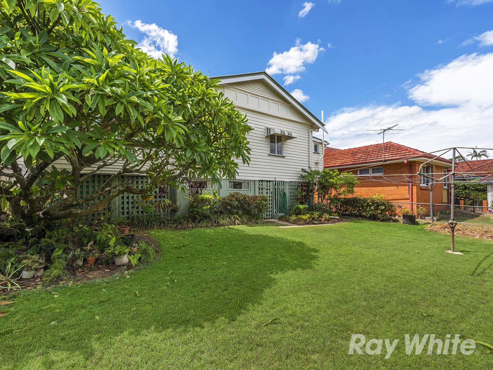56 Highcrest Avenue, Wavell Heights QLD 4012, Wavell Heights - Thumbnail 4