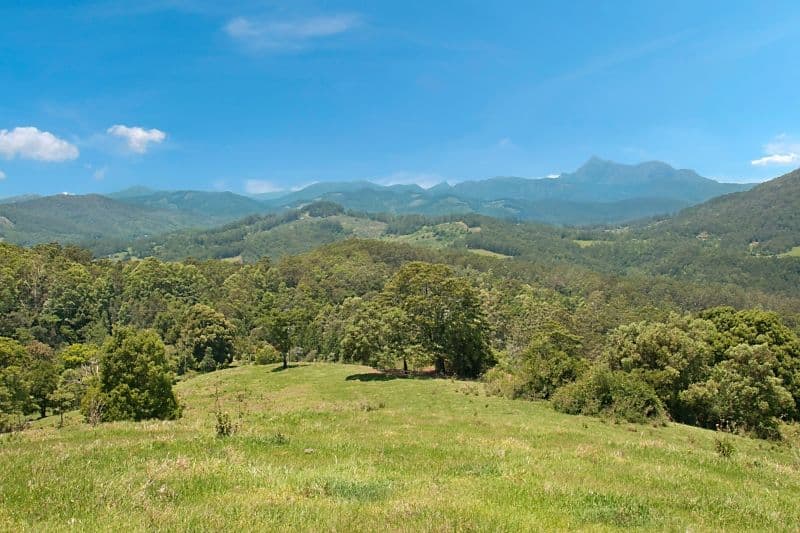 2327 Numinbah Road, Numinbah NSW 2484, Numinbah - Thumbnail 5