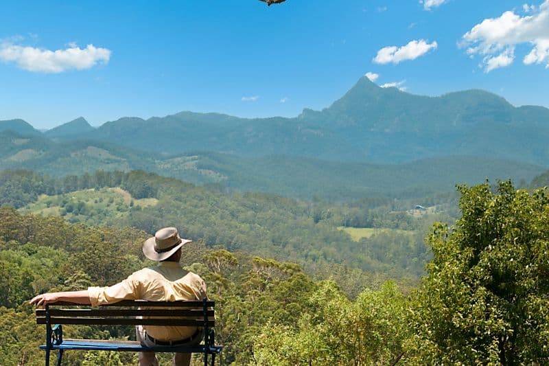 2327 Numinbah Road, Numinbah NSW 2484, Numinbah - Thumbnail 3