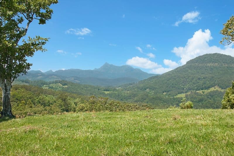 2327 Numinbah Road, Numinbah NSW 2484, Numinbah - Thumbnail 7