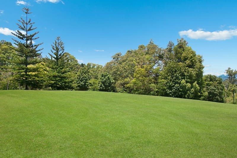 2327 Numinbah Road, Numinbah NSW 2484, Numinbah - Thumbnail 2
