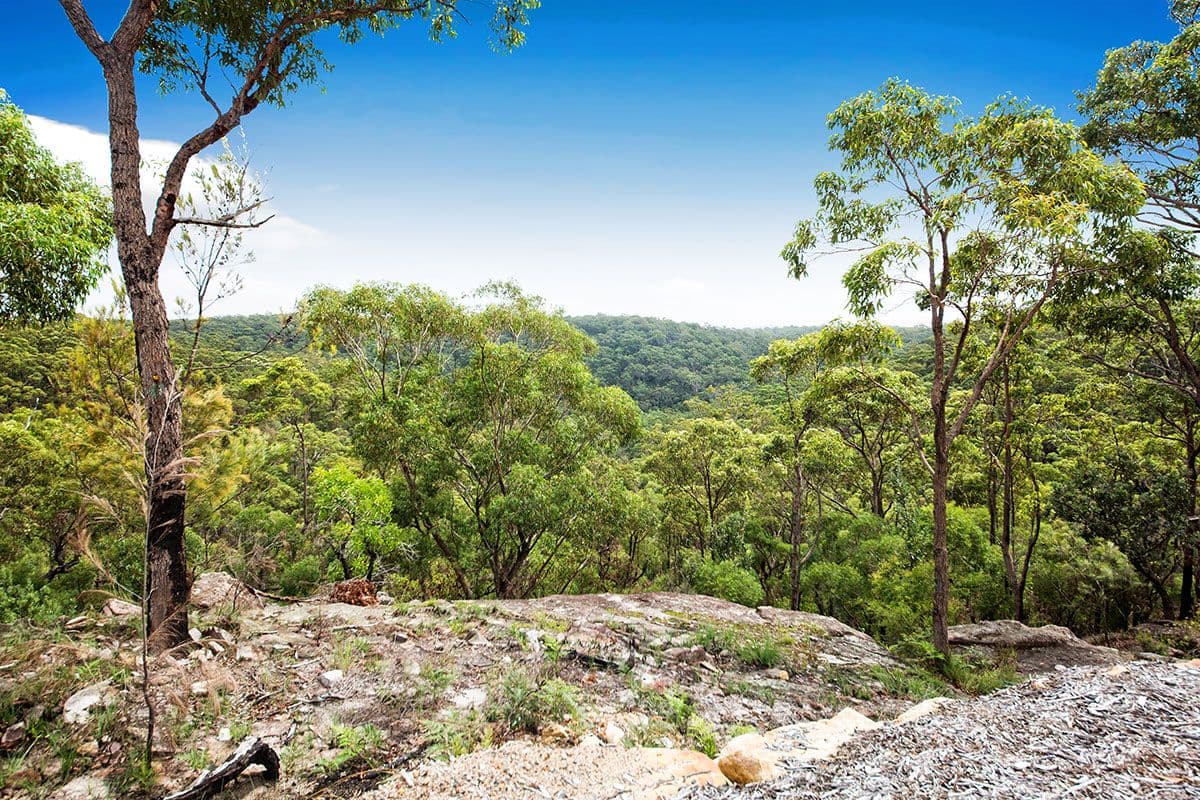 94 Monash Road, Menai NSW 2234, Menai - Thumbnail 2