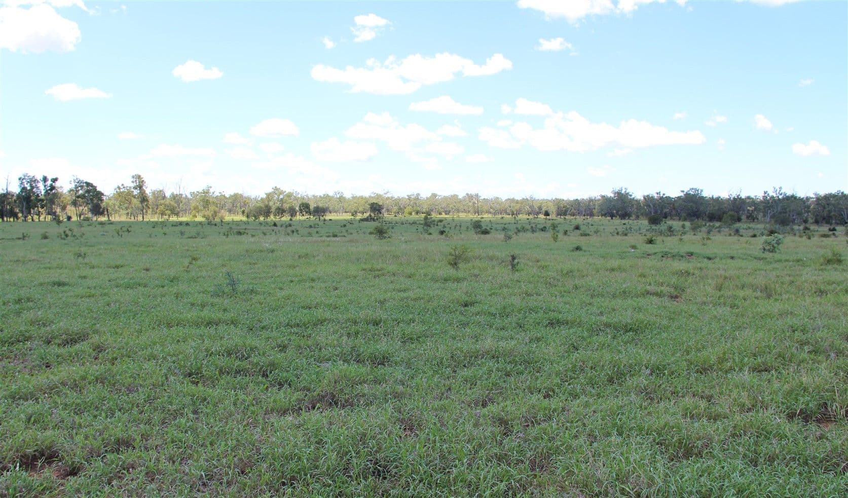 1140 Crinum Road, Capella QLD 4723, Capella - Thumbnail 2