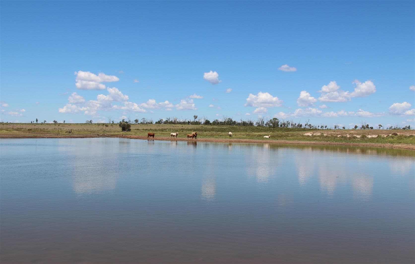 1140 Crinum Road, Capella QLD 4723, Capella - Thumbnail 3