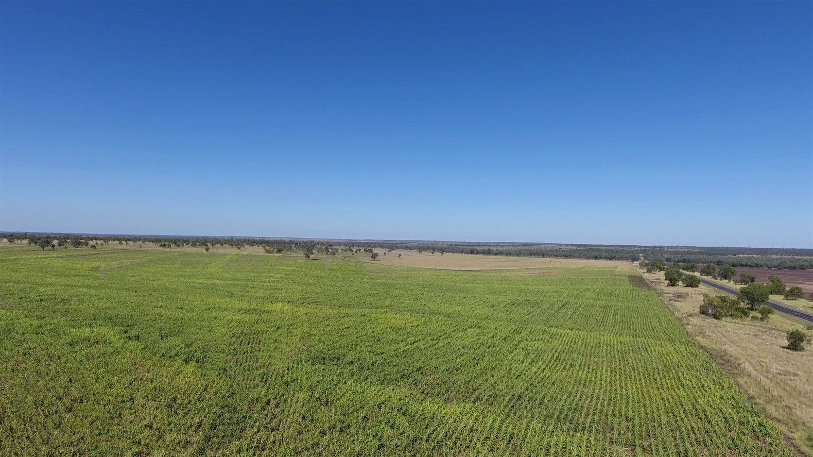 1140 Crinum Road, Capella QLD 4723, Capella - Thumbnail 8