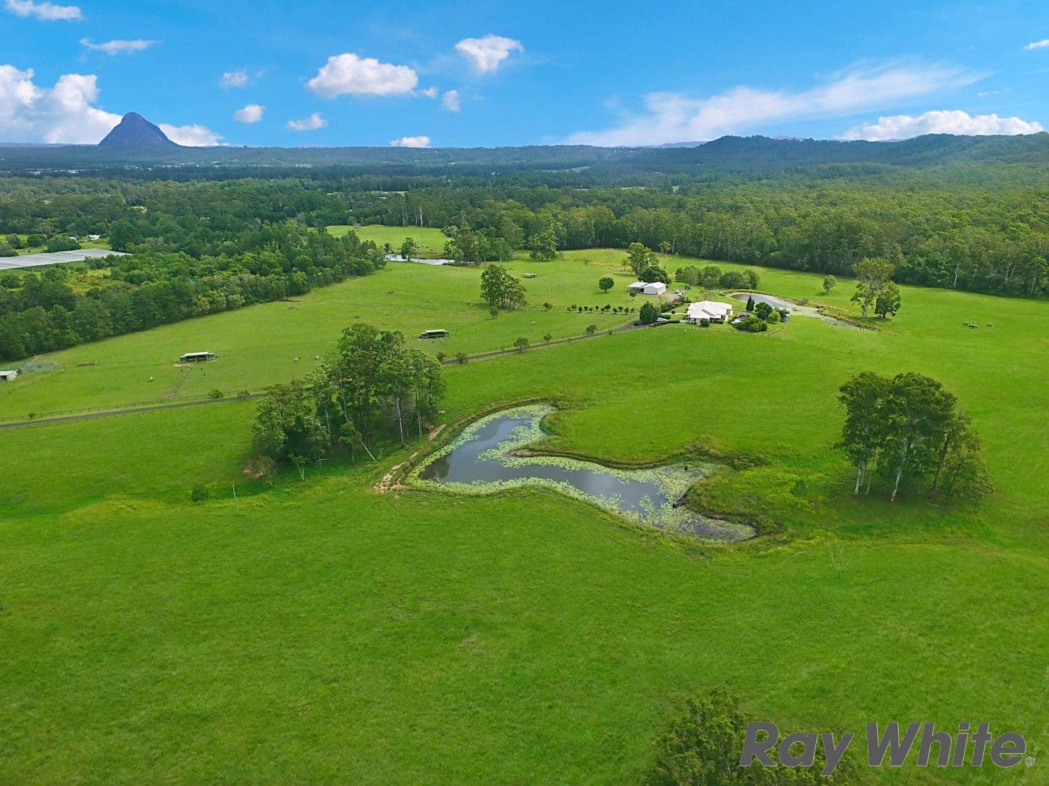 2969 Old Gympie Road, Beerwah QLD 4519, Beerwah - Thumbnail 6