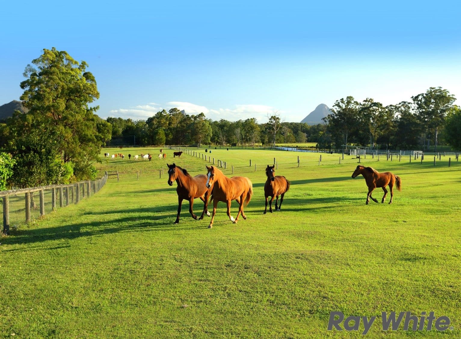 2969 Old Gympie Road, Beerwah QLD 4519, Beerwah - Thumbnail 3