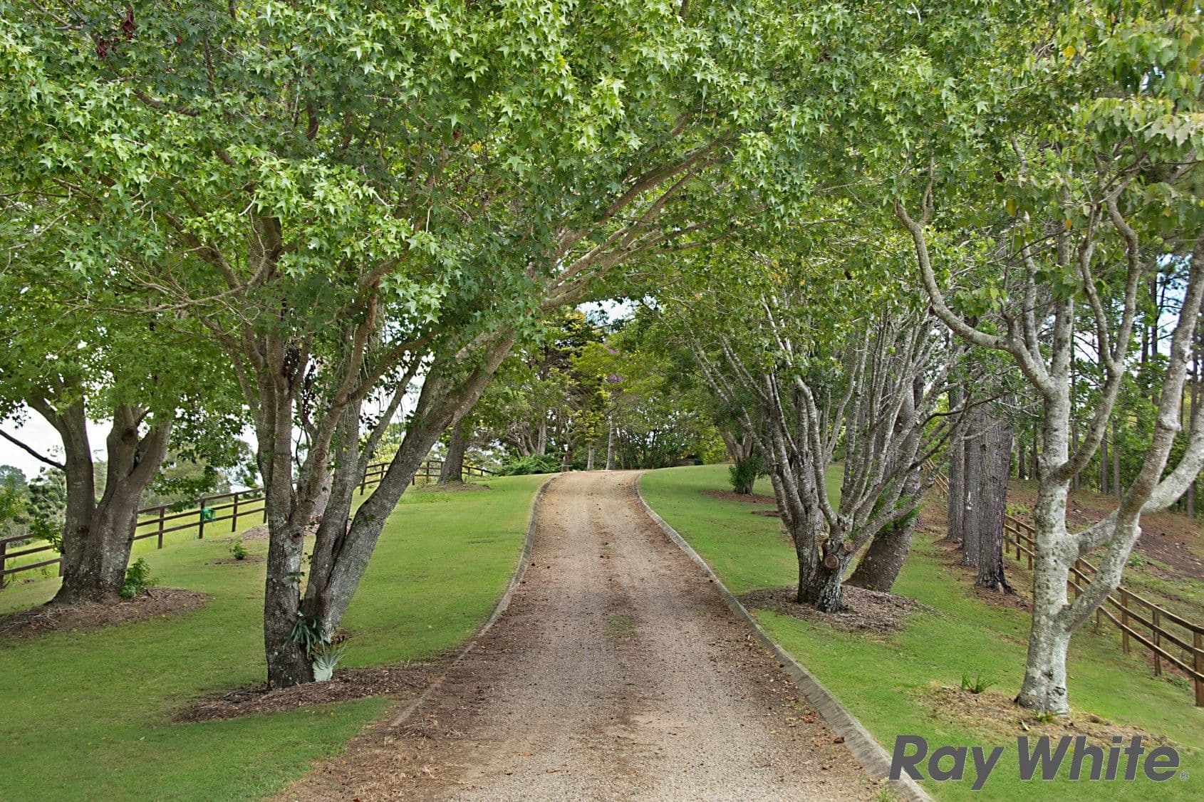 342 North Maleny Road, North Maleny QLD 4552, North Maleny - Thumbnail 4