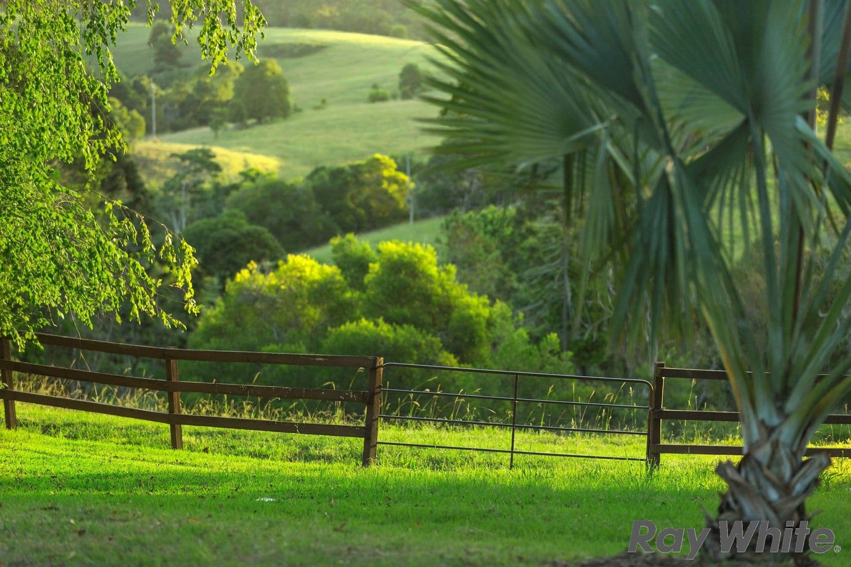 342 North Maleny Road, North Maleny QLD 4552, North Maleny - Thumbnail 6
