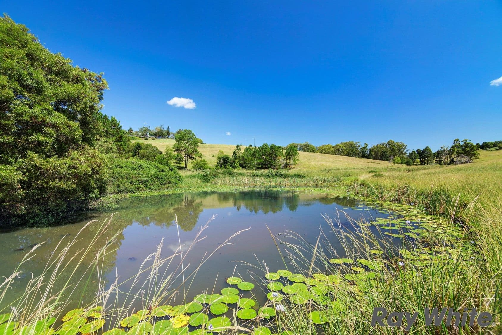 342 North Maleny Road, North Maleny QLD 4552, North Maleny - Thumbnail 2