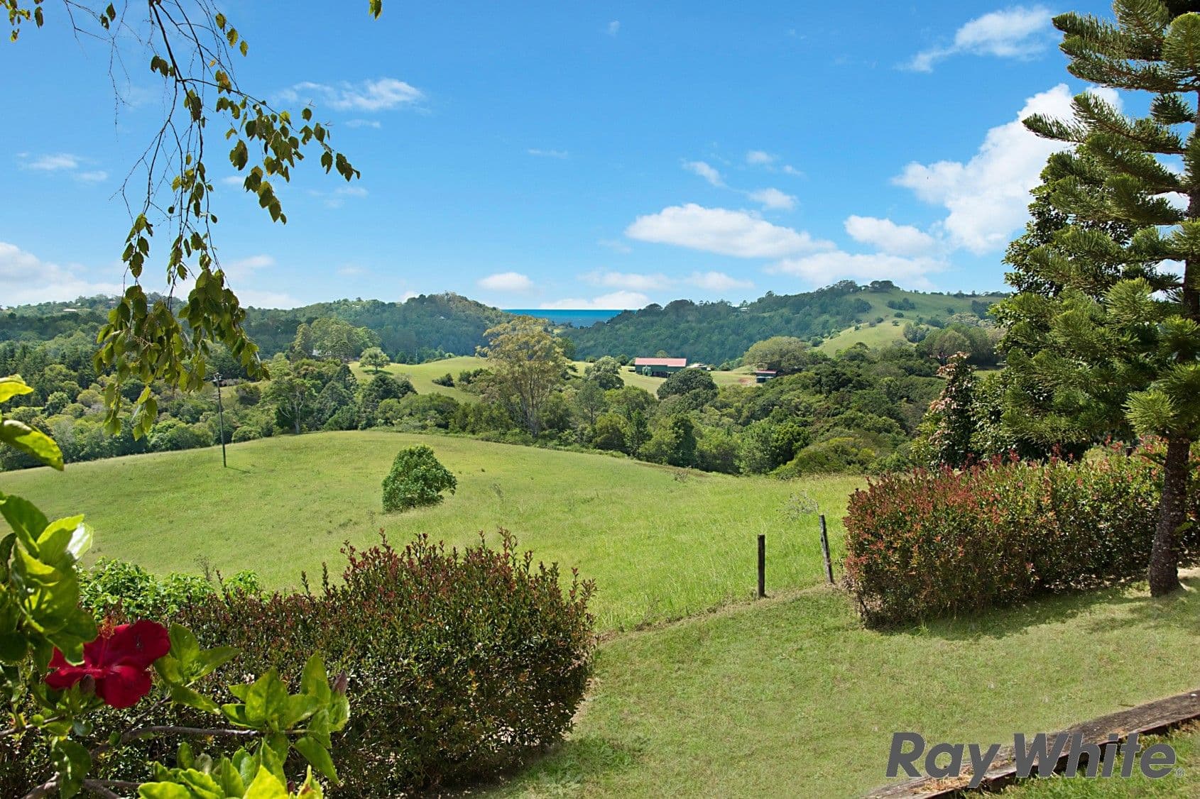342 North Maleny Road, North Maleny QLD 4552, North Maleny - Image 1