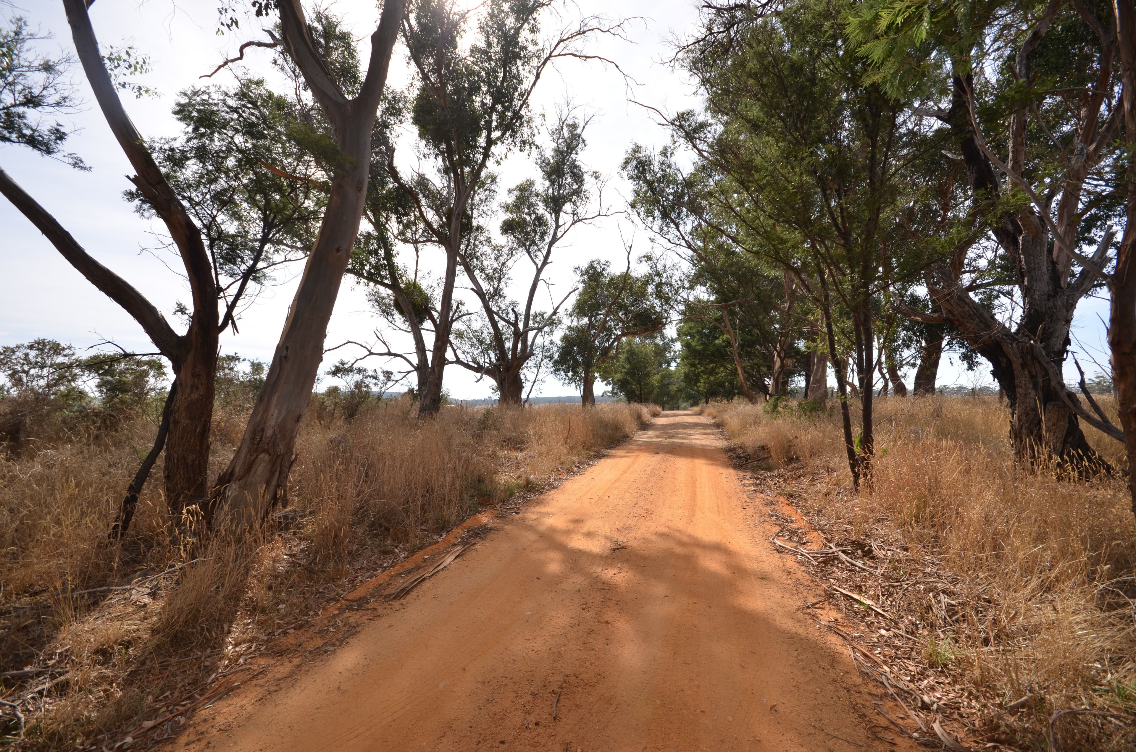49 Harrisons Road, Dereel VIC 3352, Dereel - Thumbnail 5