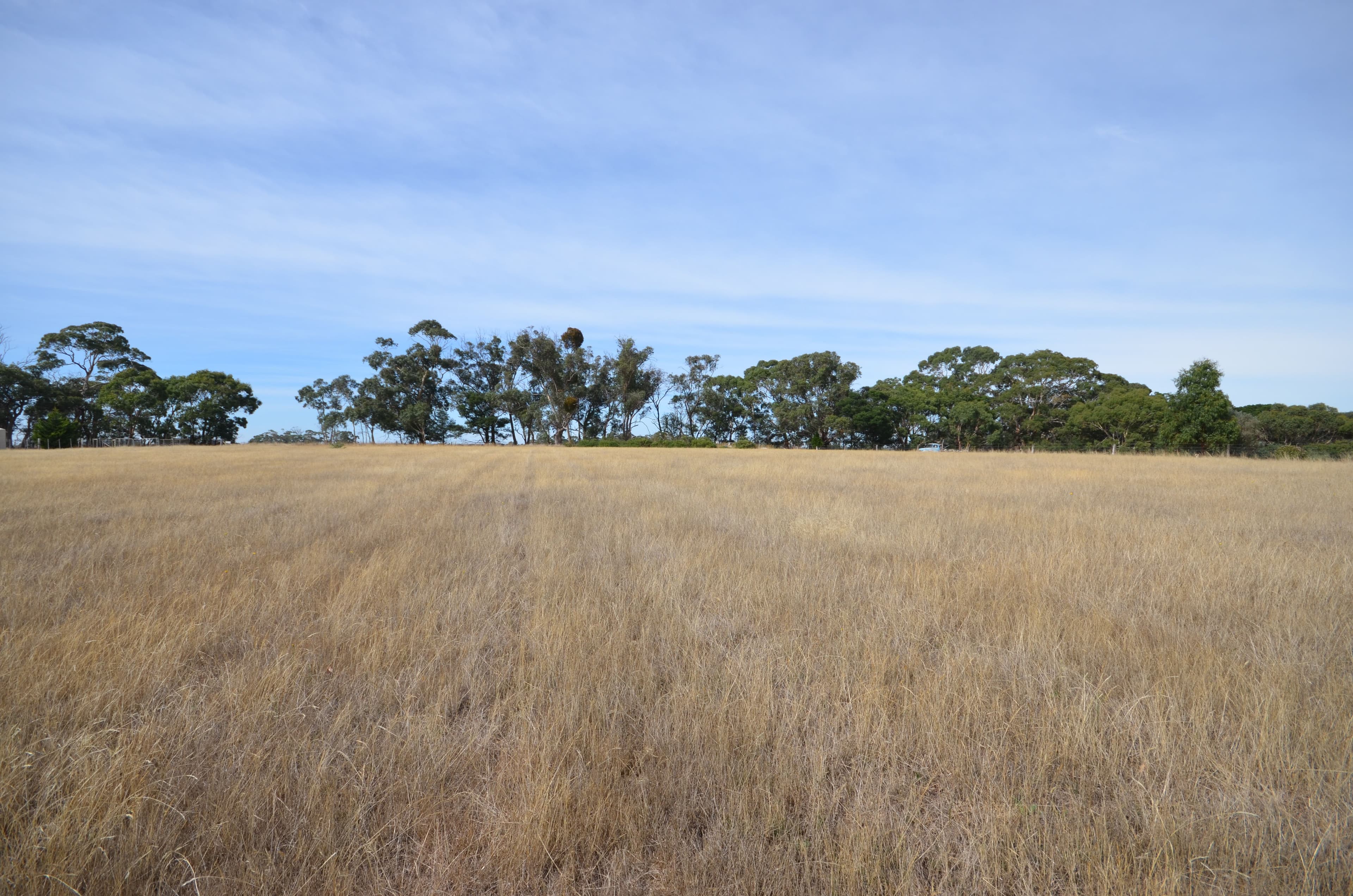 49 Harrisons Road, Dereel VIC 3352, Dereel - Thumbnail 2