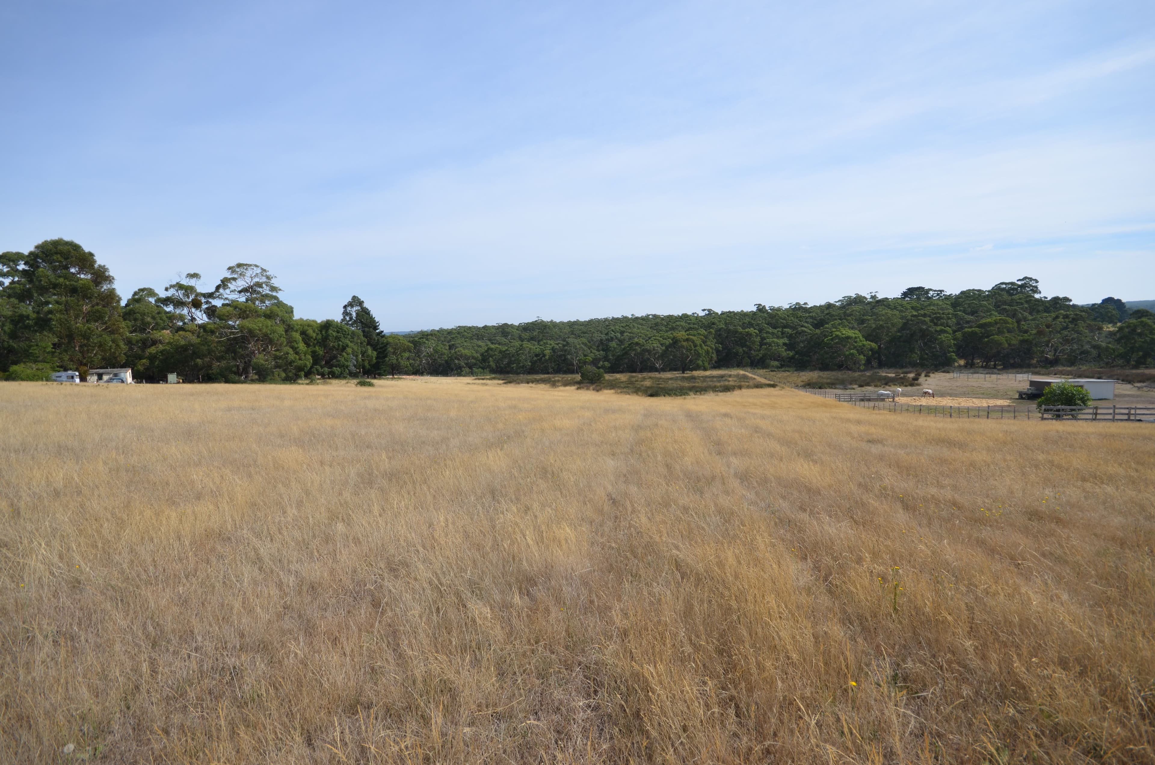 49 Harrisons Road, Dereel VIC 3352, Dereel - Thumbnail 3
