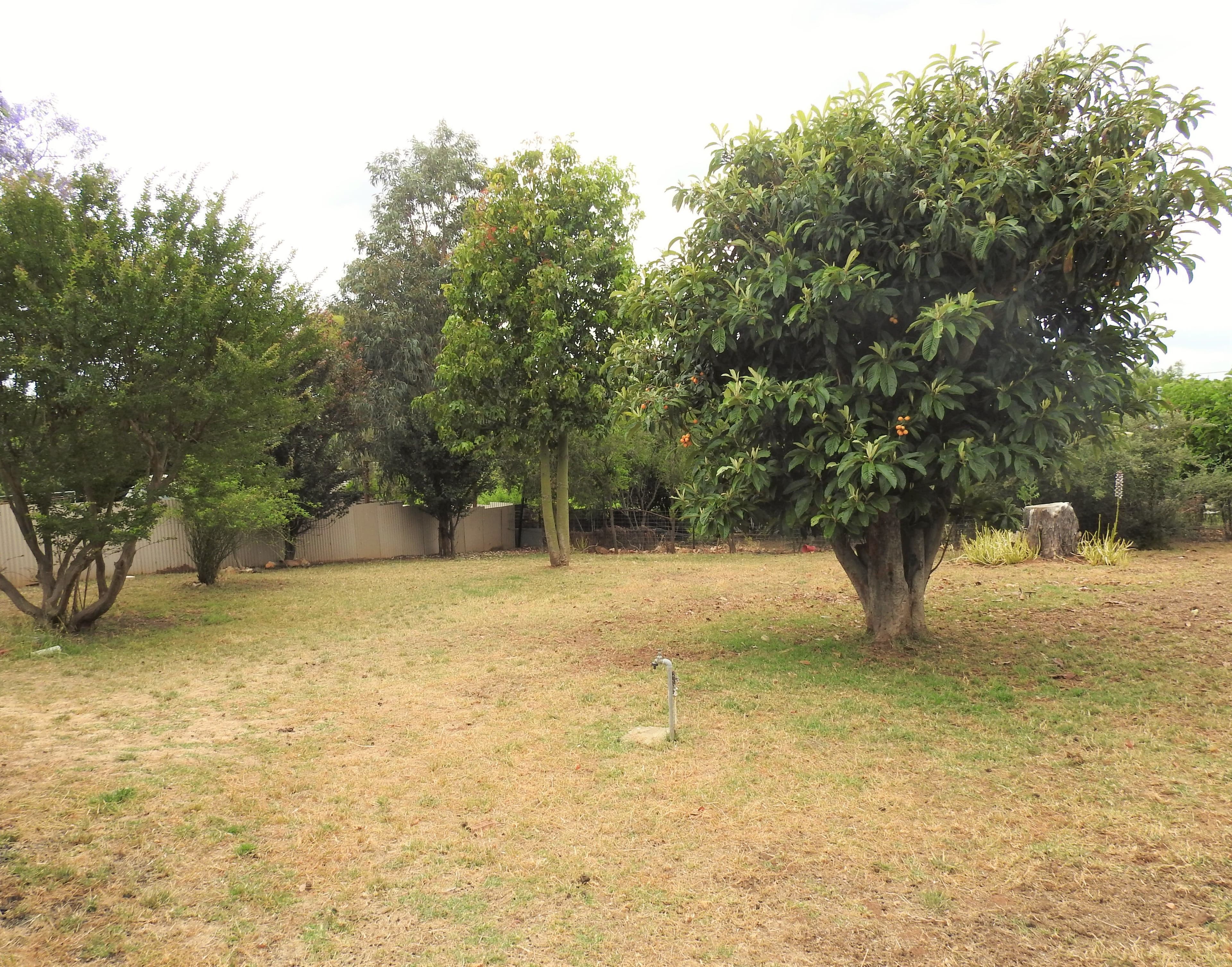 14 Back Creek Road, Young - Thumbnail 4