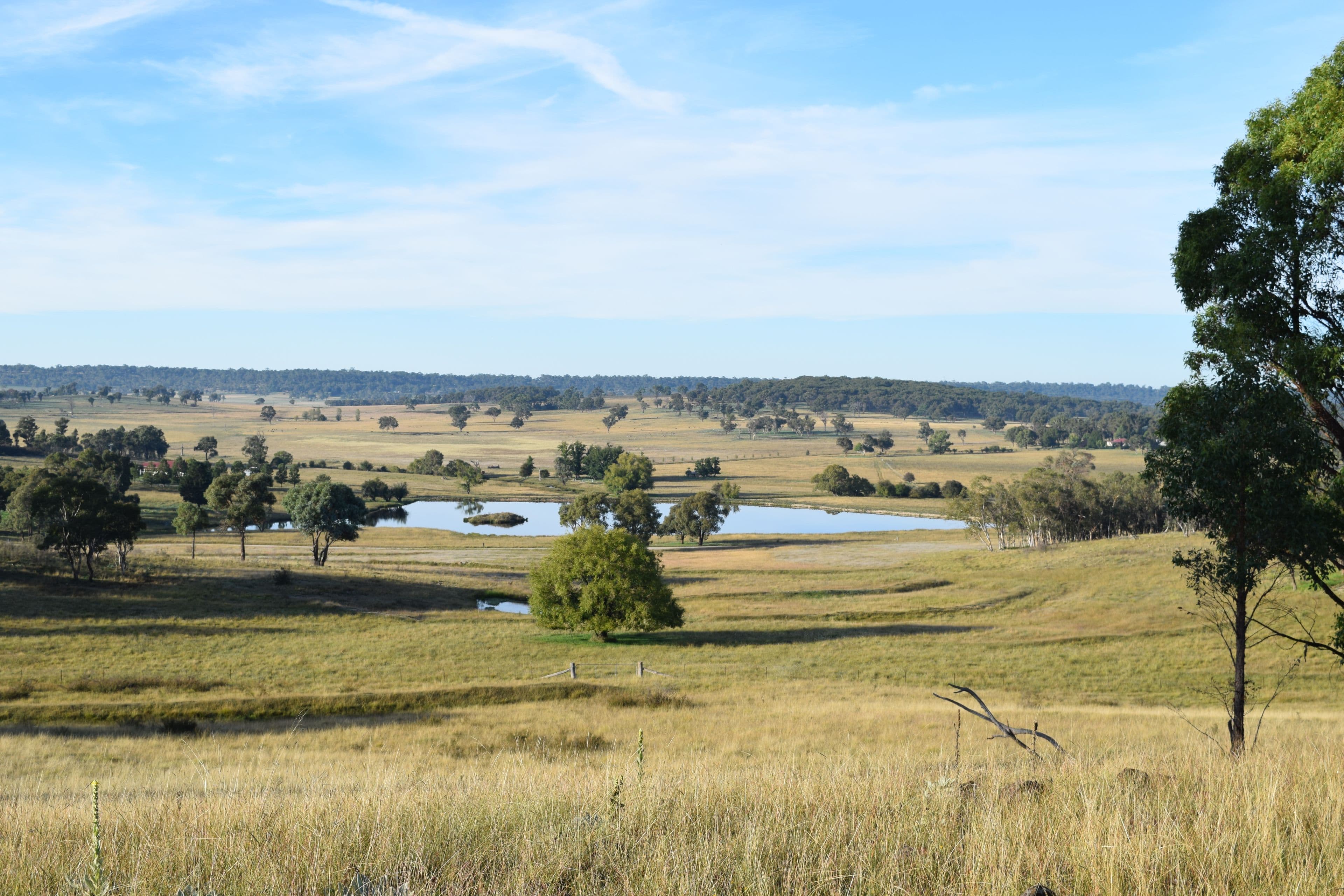 Glenfield 305 Loxton Road, Wandsworth NSW 2365, Wandsworth - Image 1