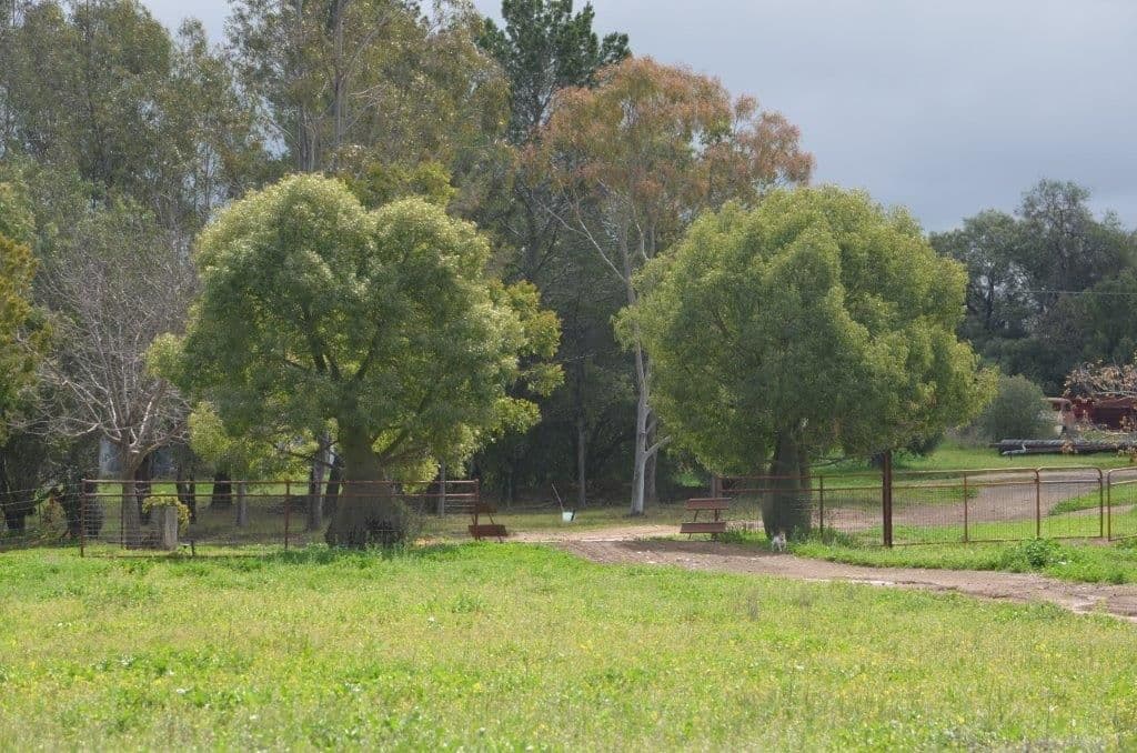 " Brooklyn, Gravesend NSW 2401, Gravesend - Image 1