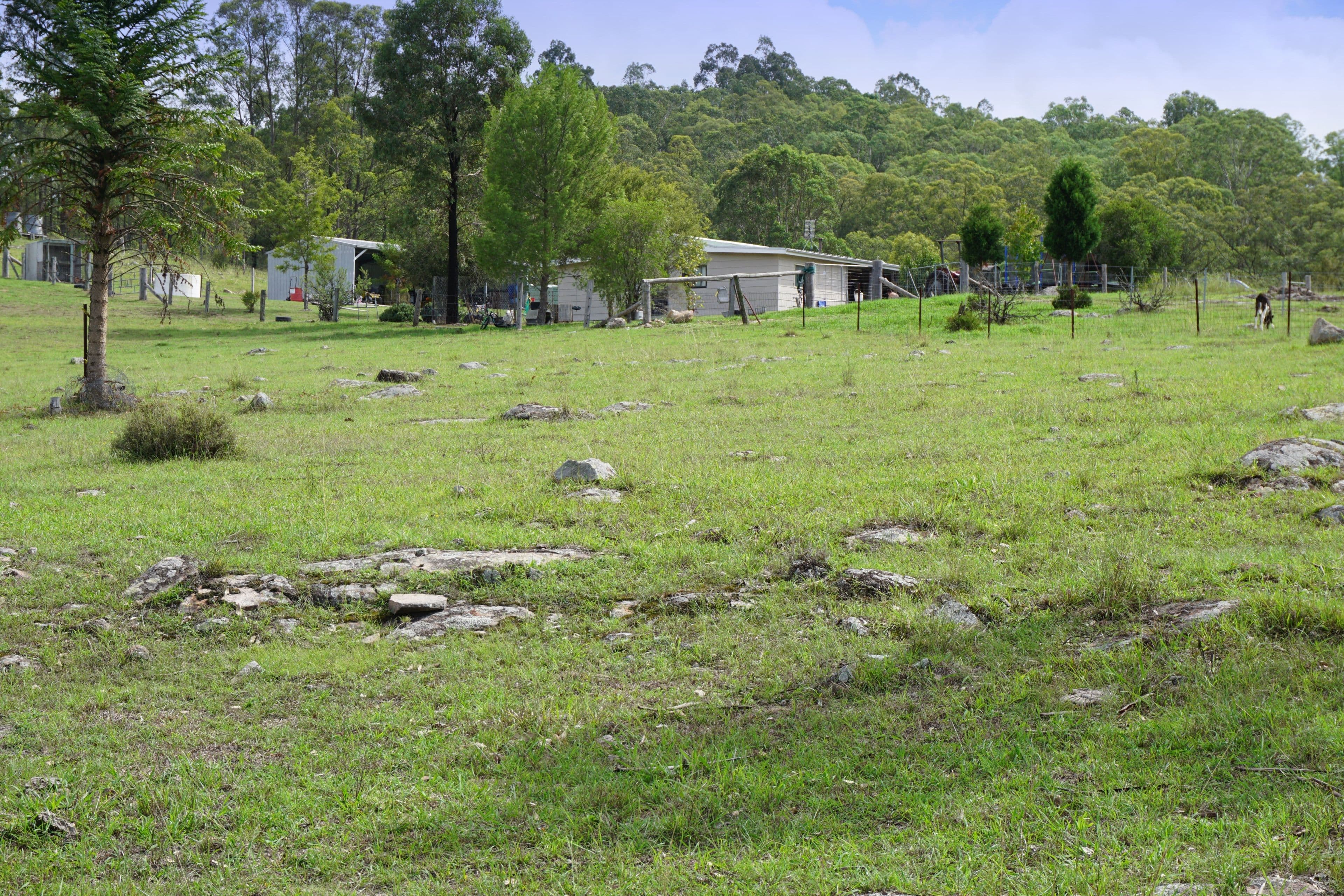 2049 Mirannie Road, Singleton NSW 2330, Singleton - Thumbnail 8