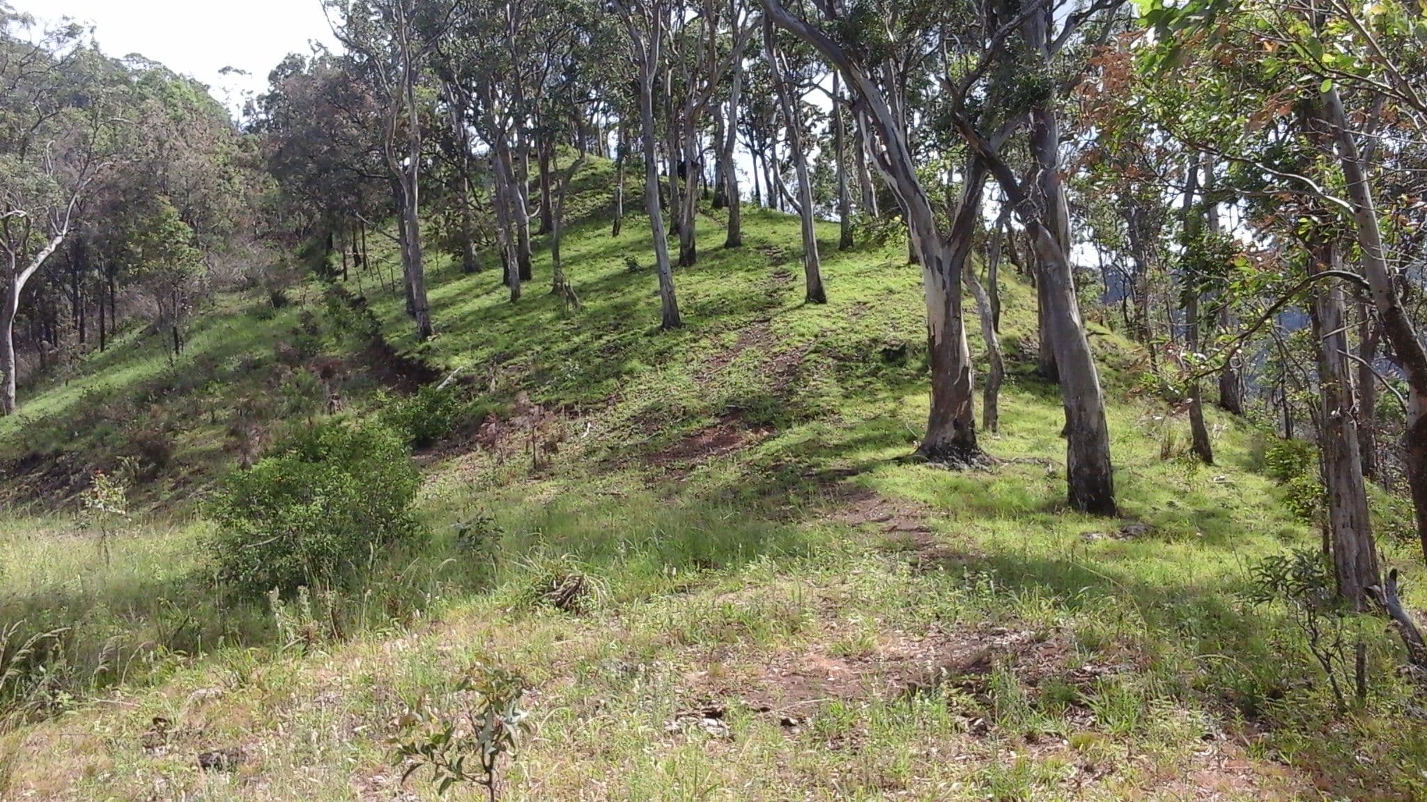 ' Wilderness Retreat' 1531 Left Hand Branch Road, THORNTON QLD 4341, Thornton - Thumbnail 7