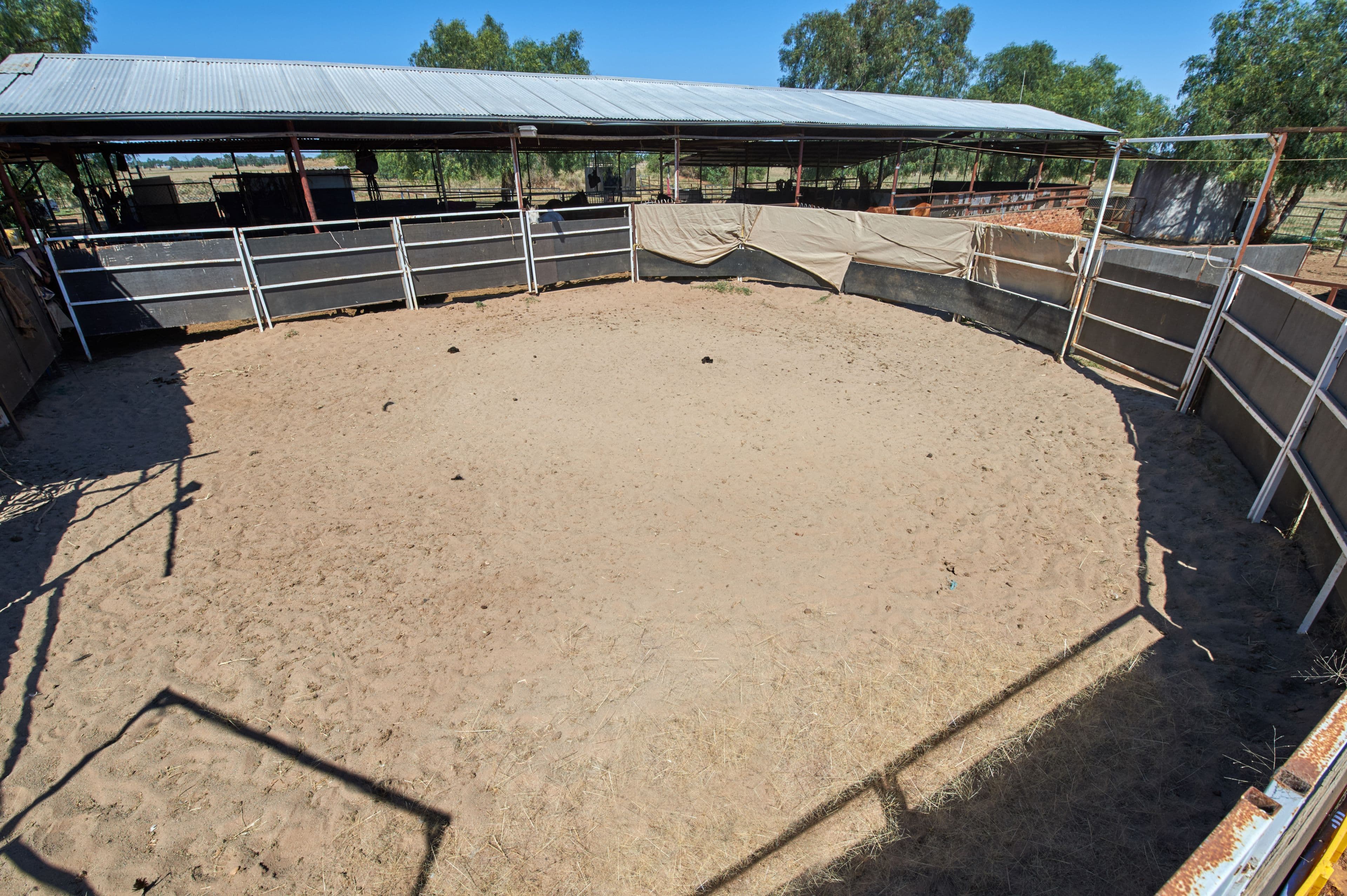 2031 Millwood Road, Coolamon NSW 2701, Coolamon - Thumbnail 2