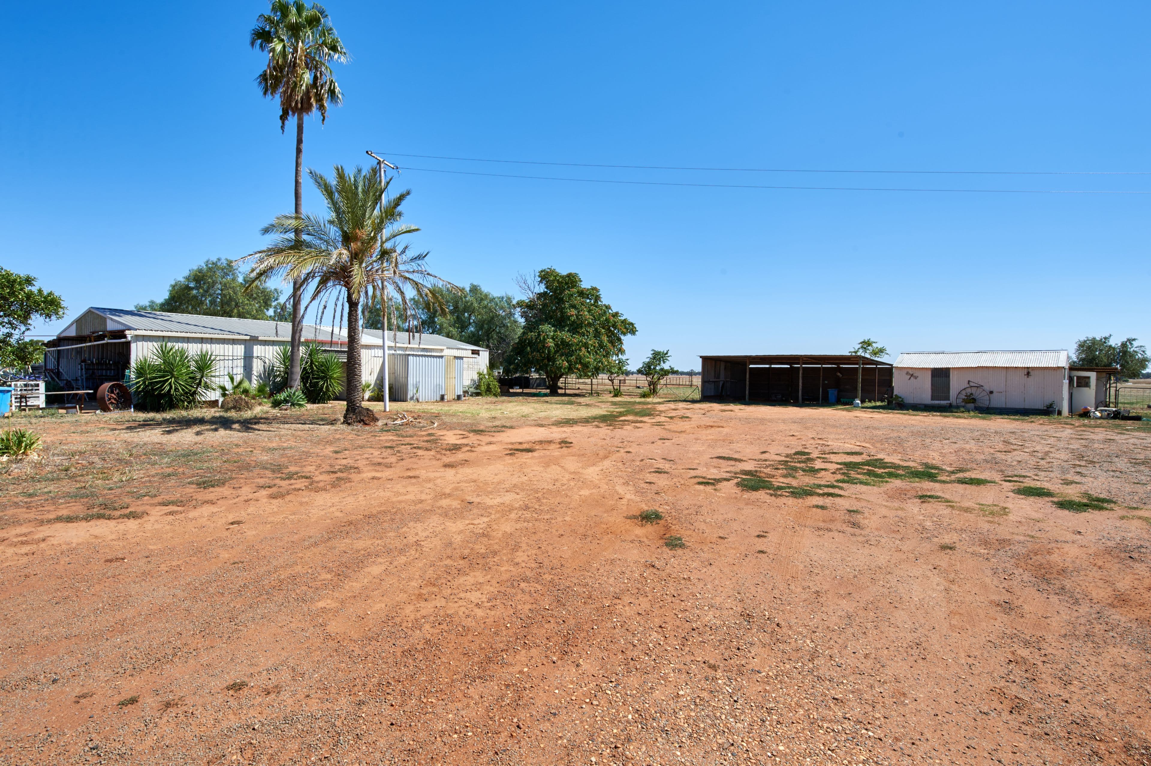 2031 Millwood Road, Coolamon NSW 2701, Coolamon - Thumbnail 4