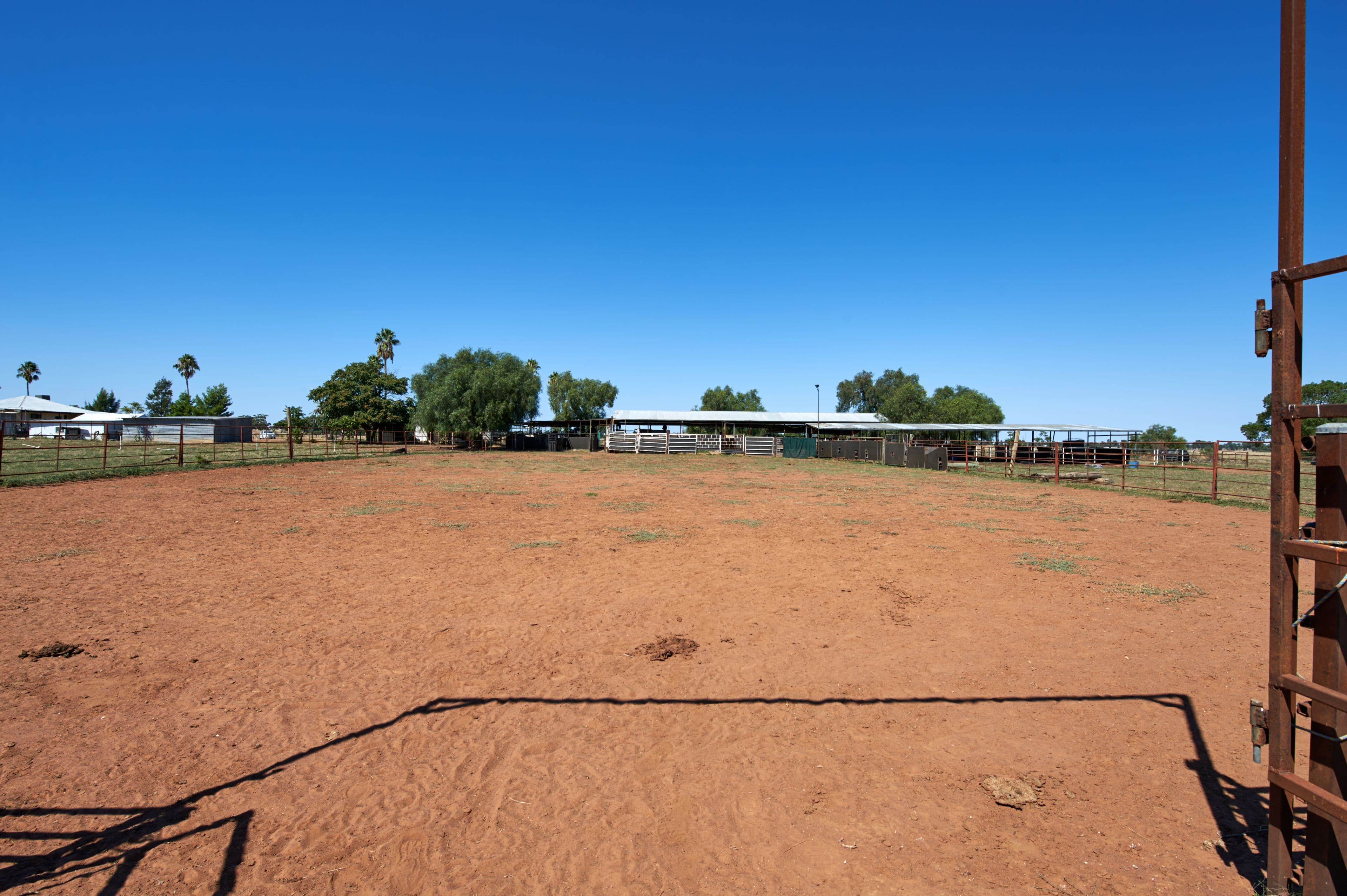 2031 Millwood Road, Coolamon NSW 2701, Coolamon - Thumbnail 3