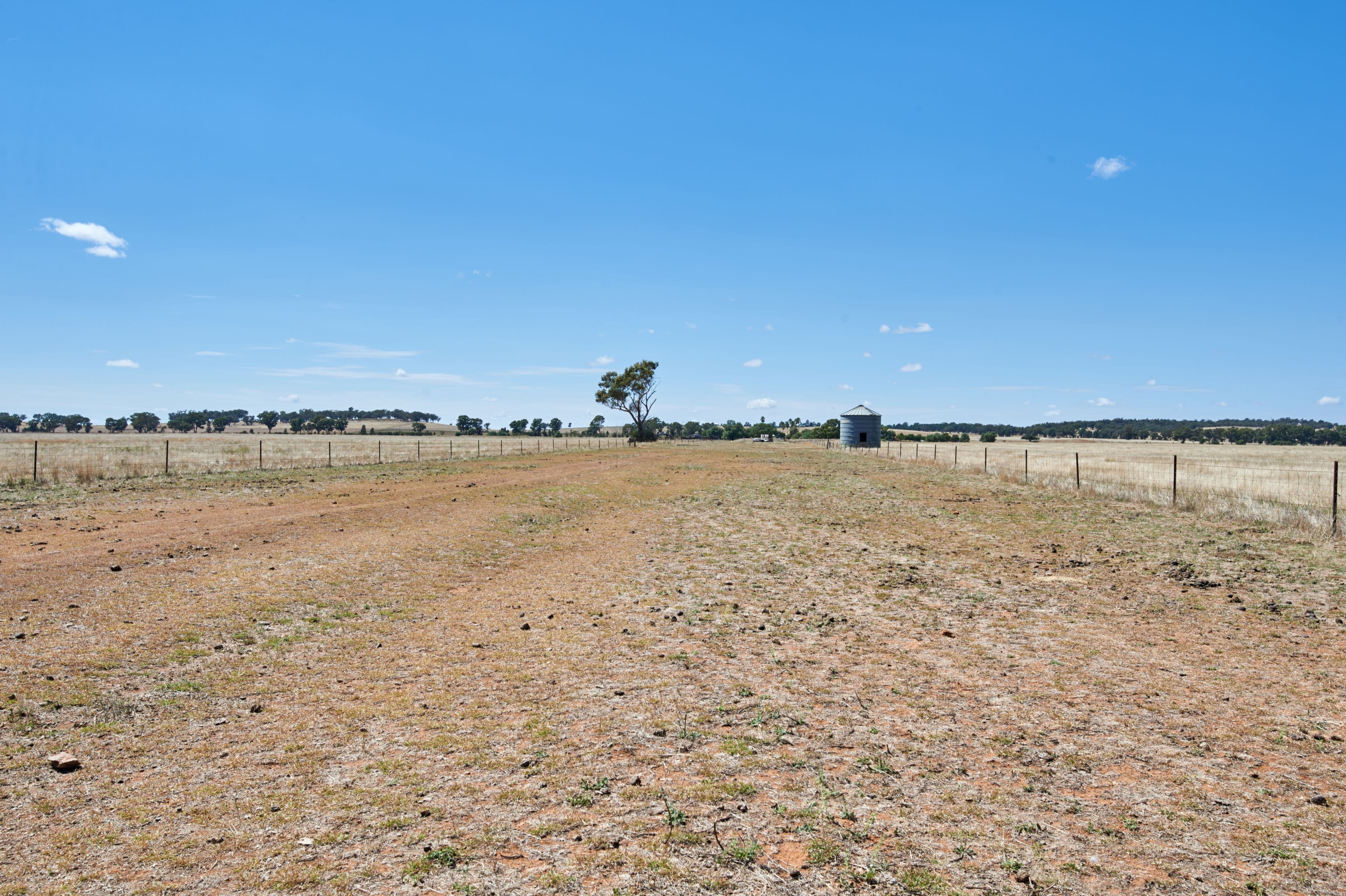 2031 Millwood Road, Coolamon NSW 2701, Coolamon - Thumbnail 6