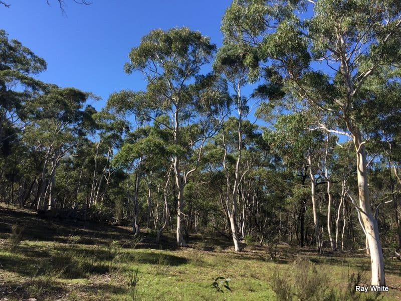 243 Jacquet Road, NERRIGA NSW 2622, Nerriga - Thumbnail 7