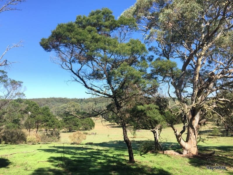 243 Jacquet Road, NERRIGA NSW 2622, Nerriga - Image 1