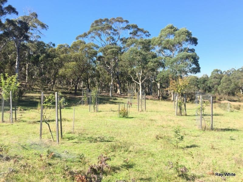 243 Jacquet Road, NERRIGA NSW 2622, Nerriga - Thumbnail 4