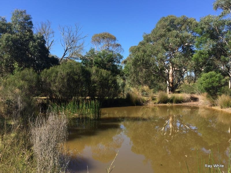 243 Jacquet Road, NERRIGA NSW 2622, Nerriga - Thumbnail 6